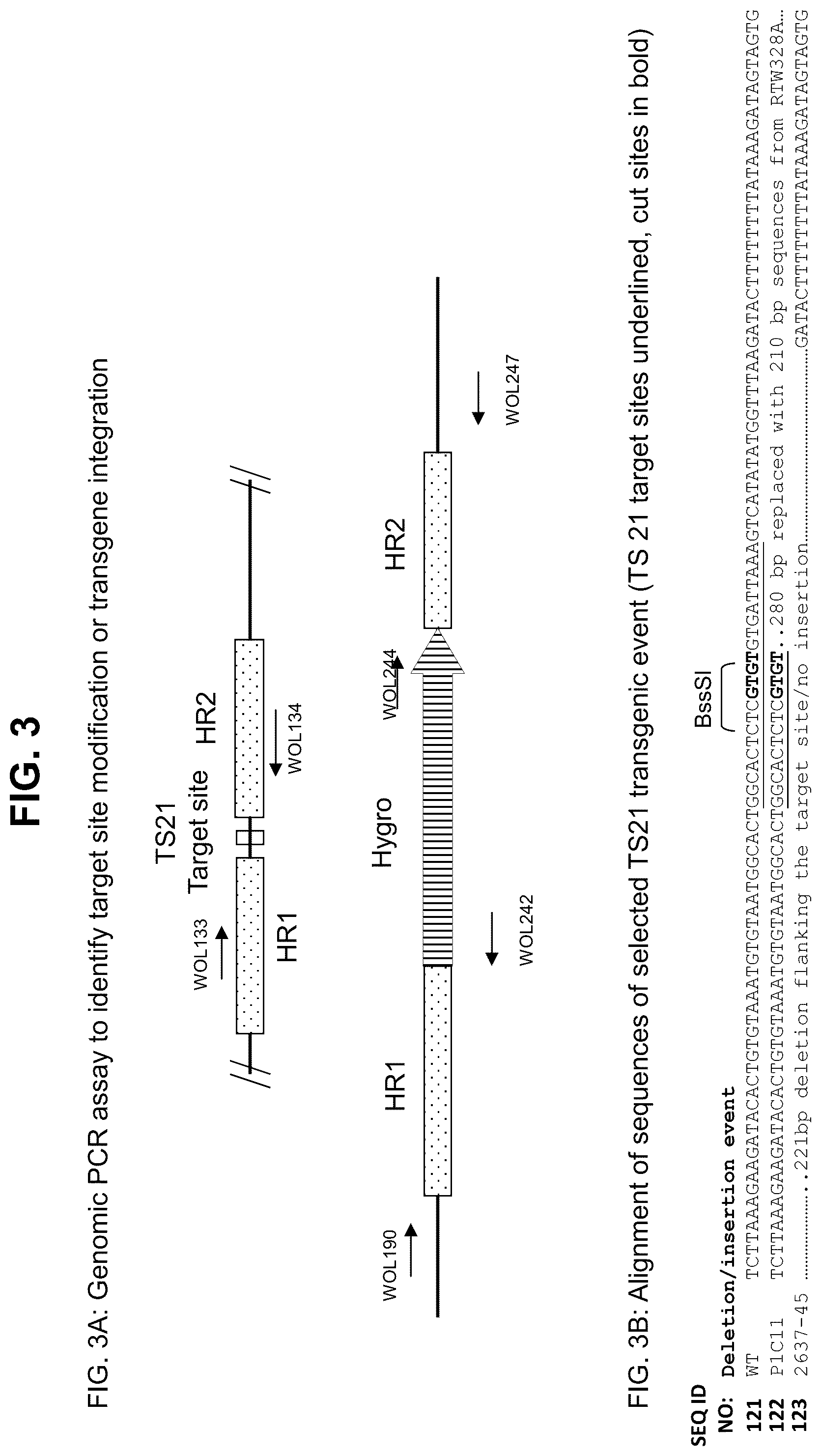 Patent US12338444 Figure 3 – Methods for producing a complex transgenic trait locus