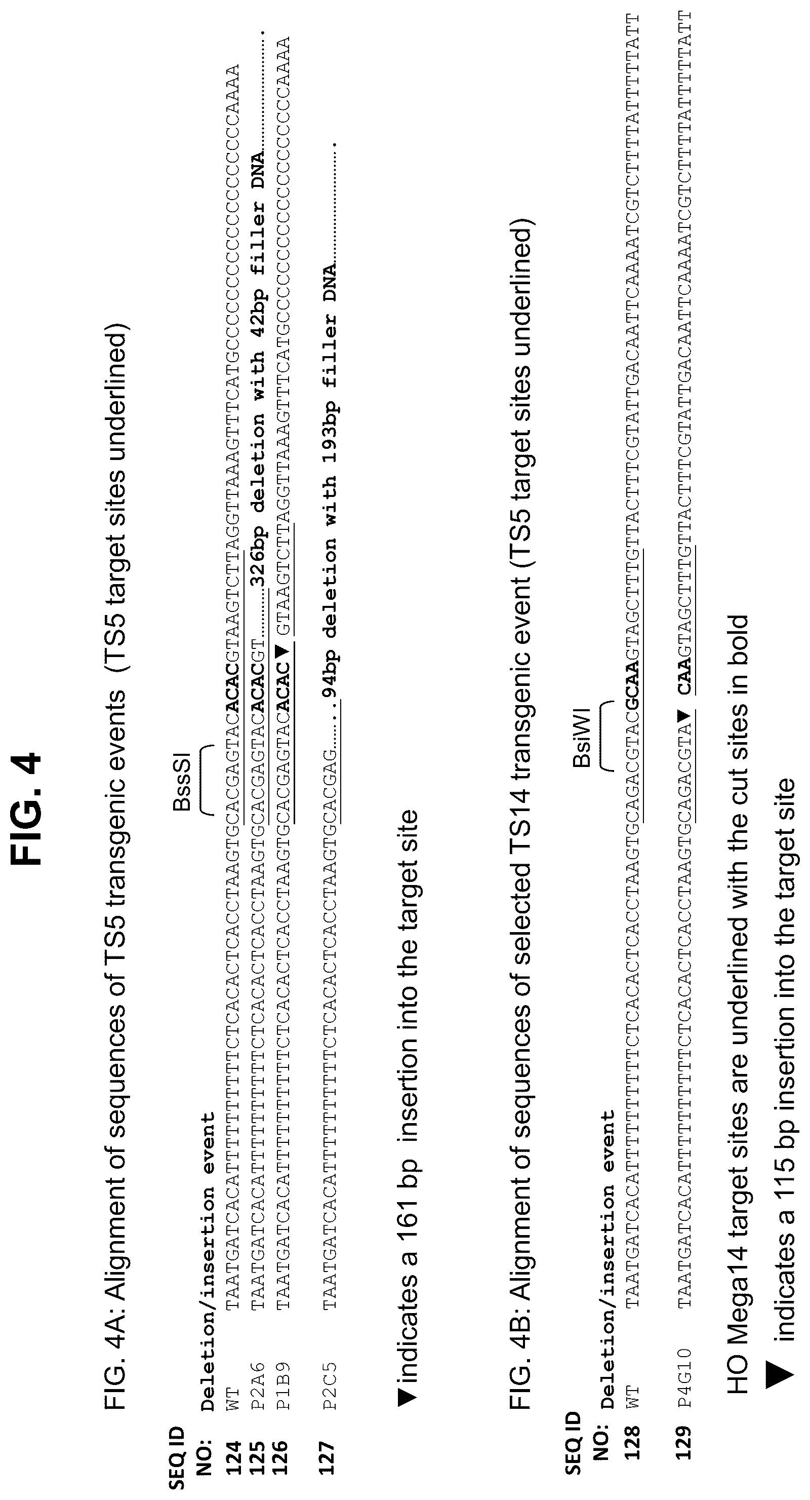 Patent US12338444 Figure 4 – Methods for producing a complex transgenic trait locus