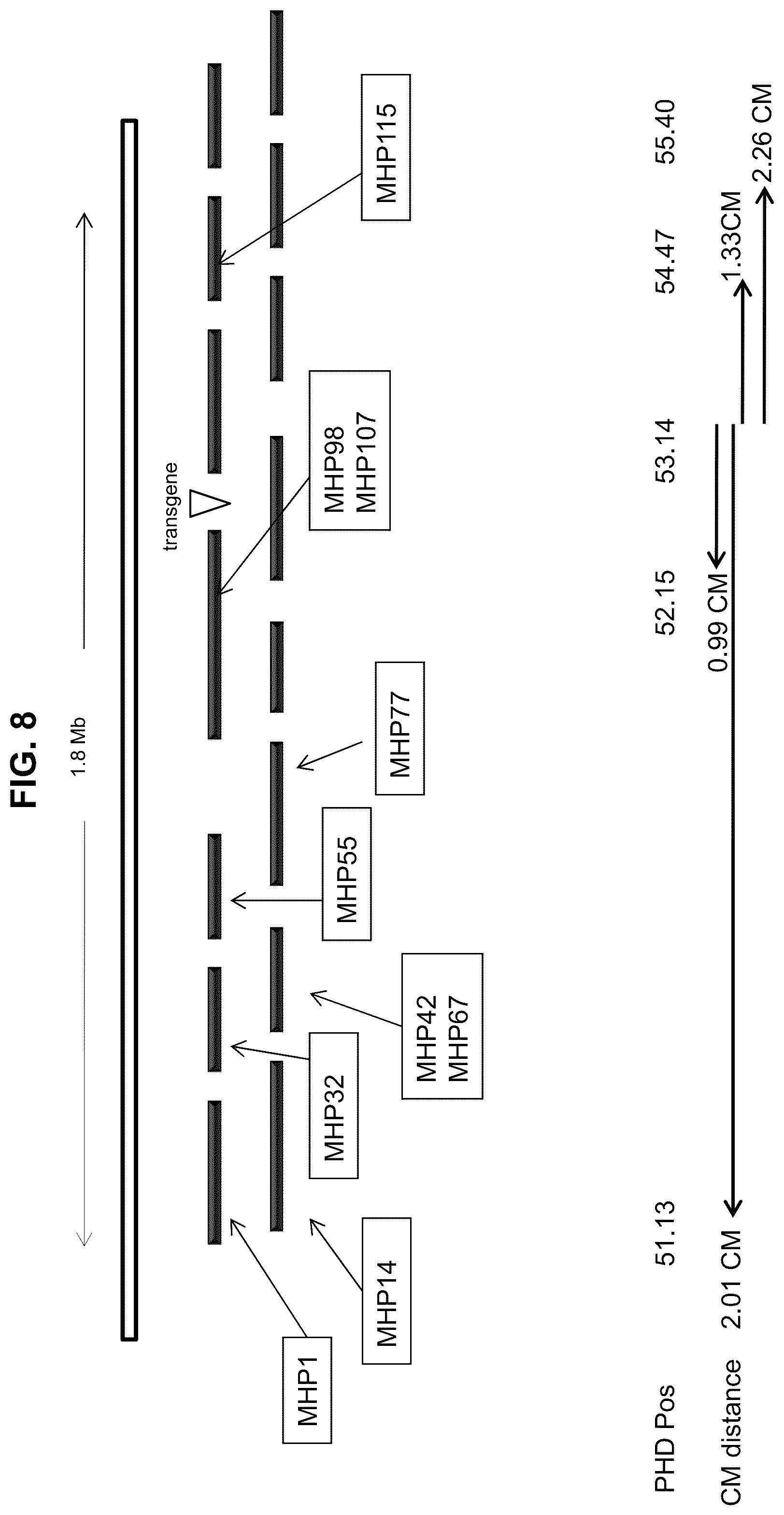 Patent US12338444 Figure 8 – Methods for producing a complex transgenic trait locus