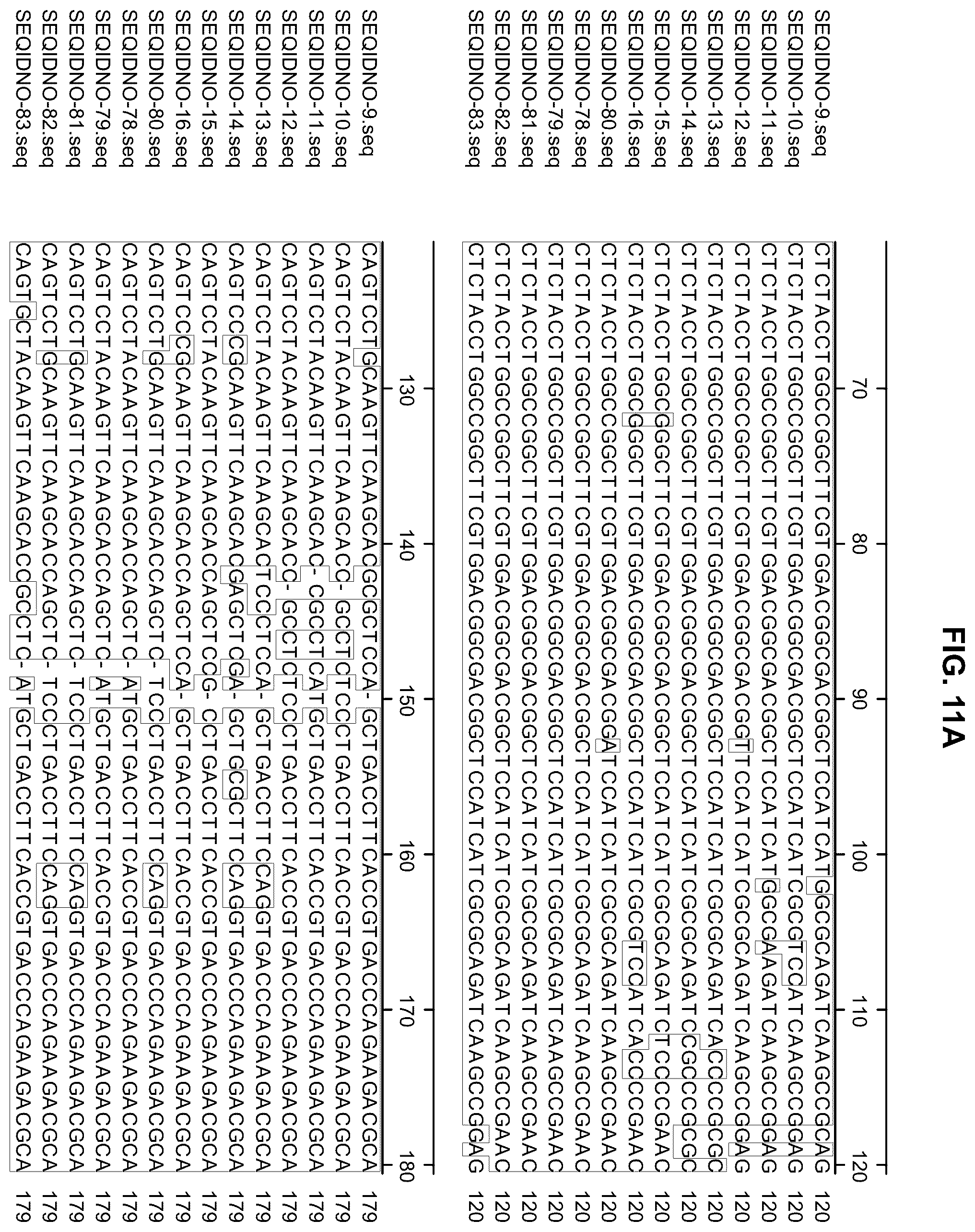 Patent US12338444 Figure 11 – Methods for producing a complex transgenic trait locus