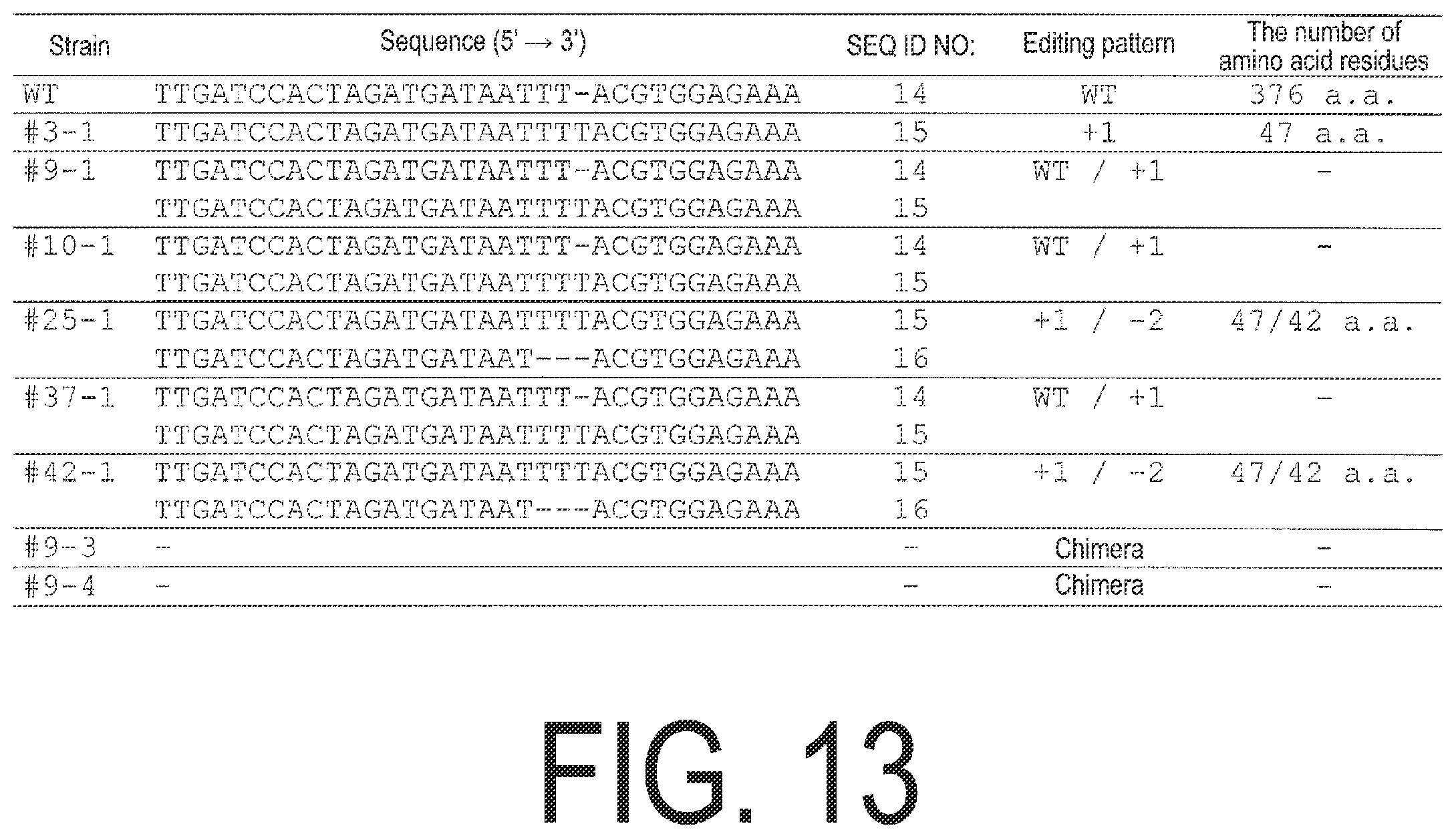 Patent US12338445 Figure 13 – Fruit-bearing plant exhibiting high temperature resistance, high yield, and parthenocarpy