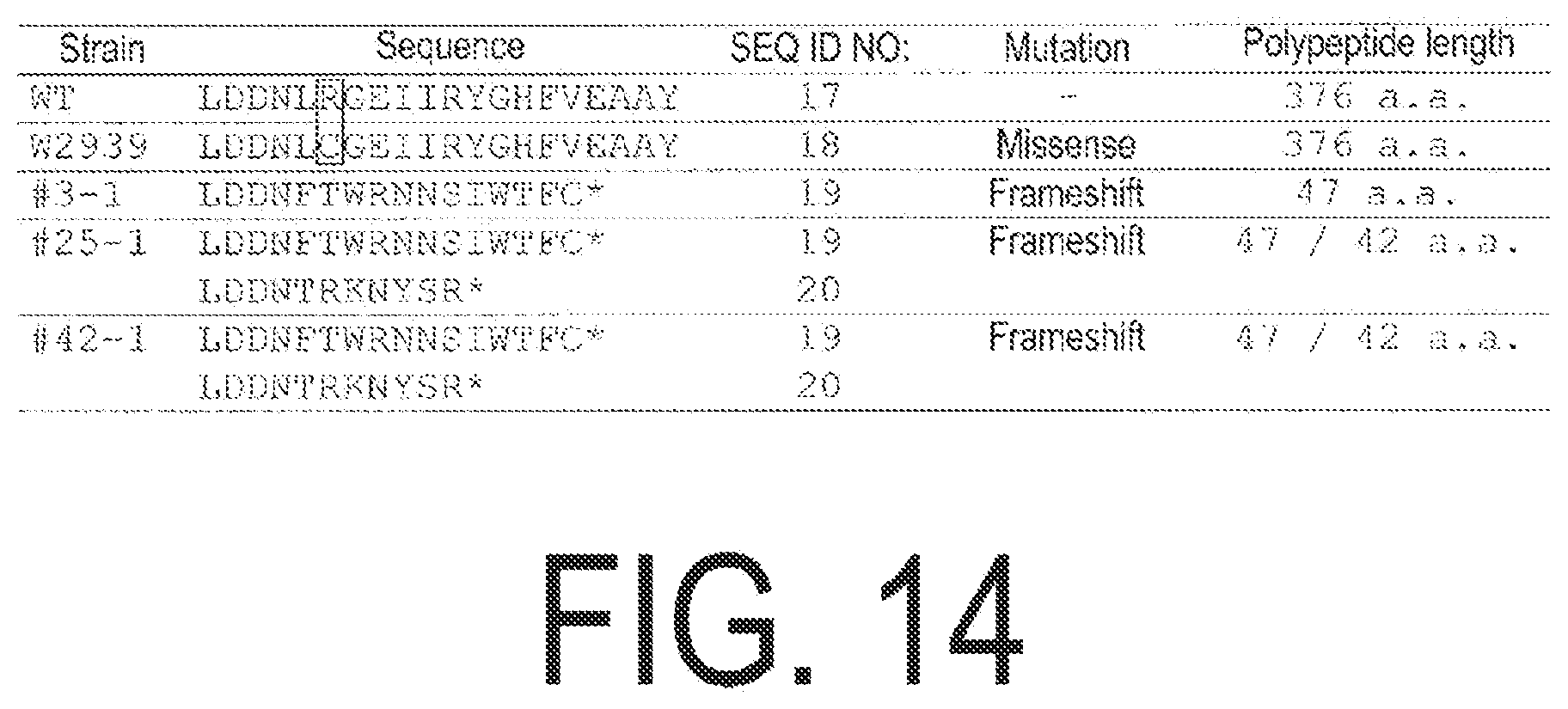 Patent US12338445 Figure 14 – Fruit-bearing plant exhibiting high temperature resistance, high yield, and parthenocarpy