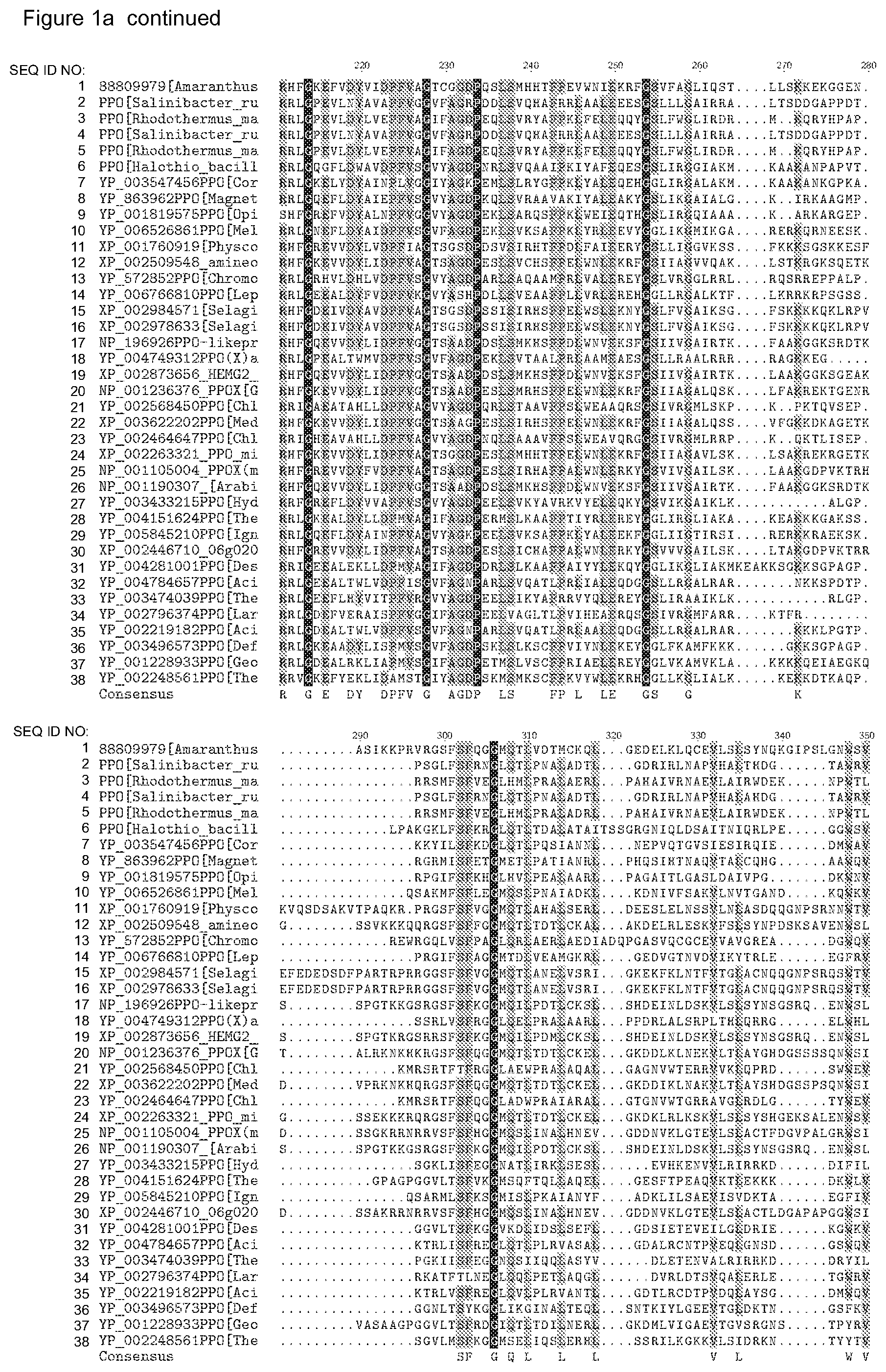 Patent US12338446 Figure 3 – Plants having increased tolerance to herbicides