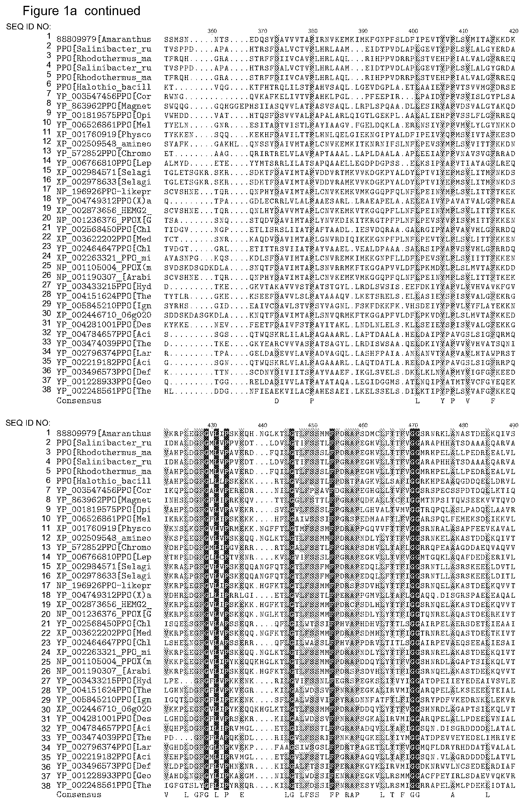 Patent US12338446 Figure 4 – Plants having increased tolerance to herbicides