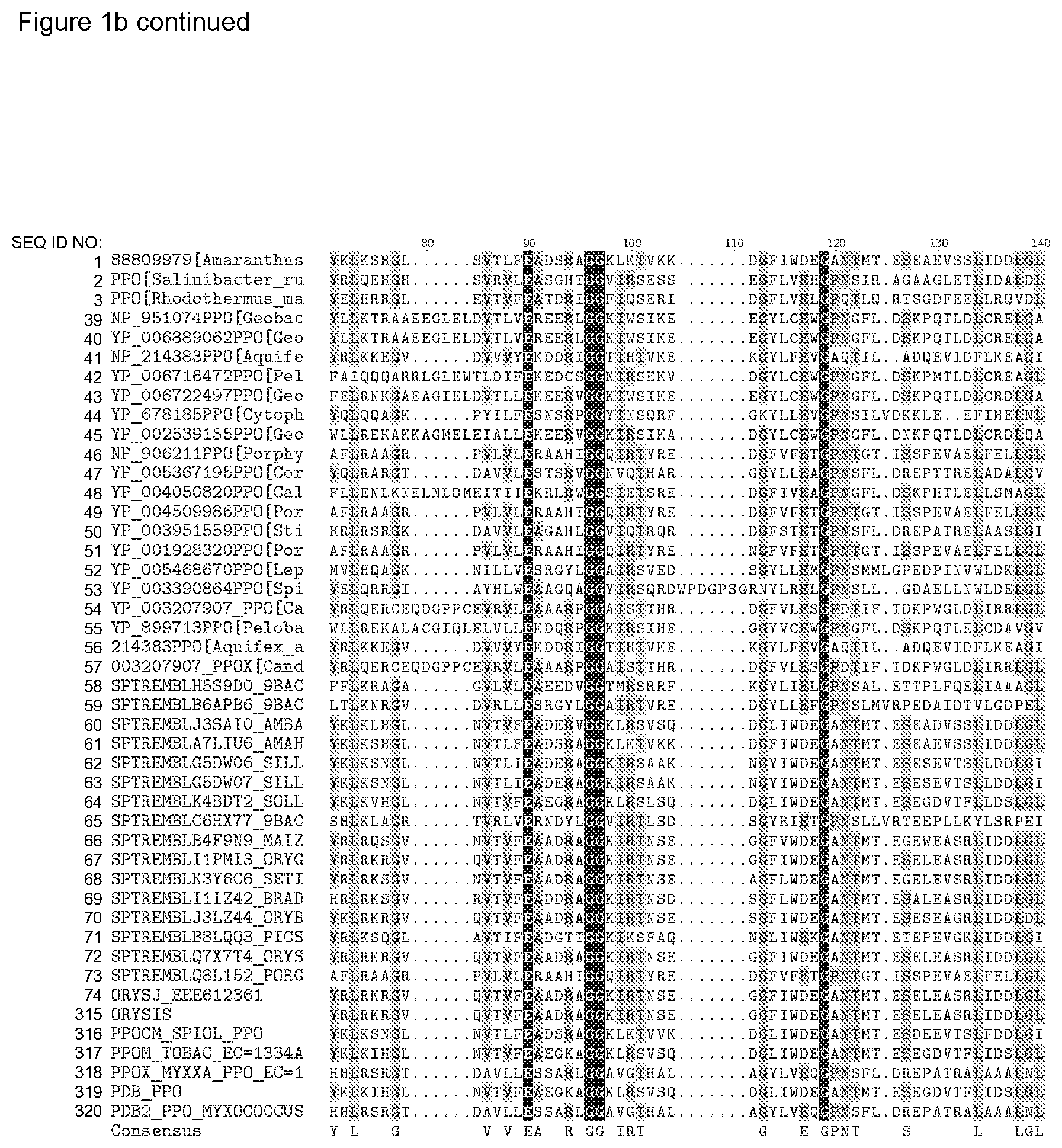 Patent US12338446 Figure 8 – Plants having increased tolerance to herbicides