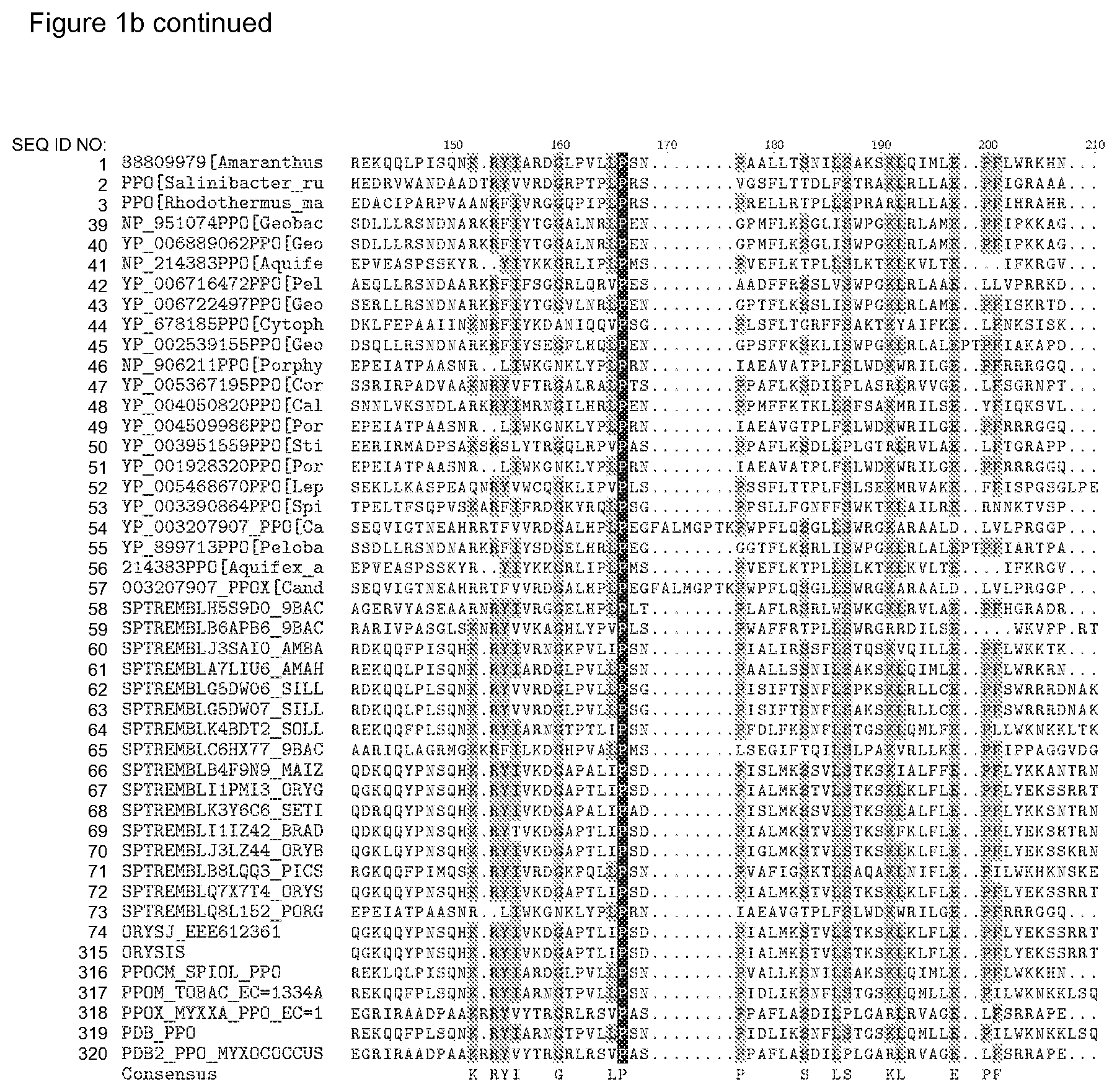 Patent US12338446 Figure 9 – Plants having increased tolerance to herbicides