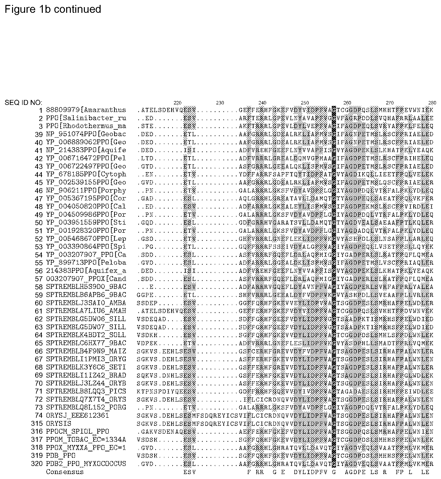 Patent US12338446 Figure 10 – Plants having increased tolerance to herbicides