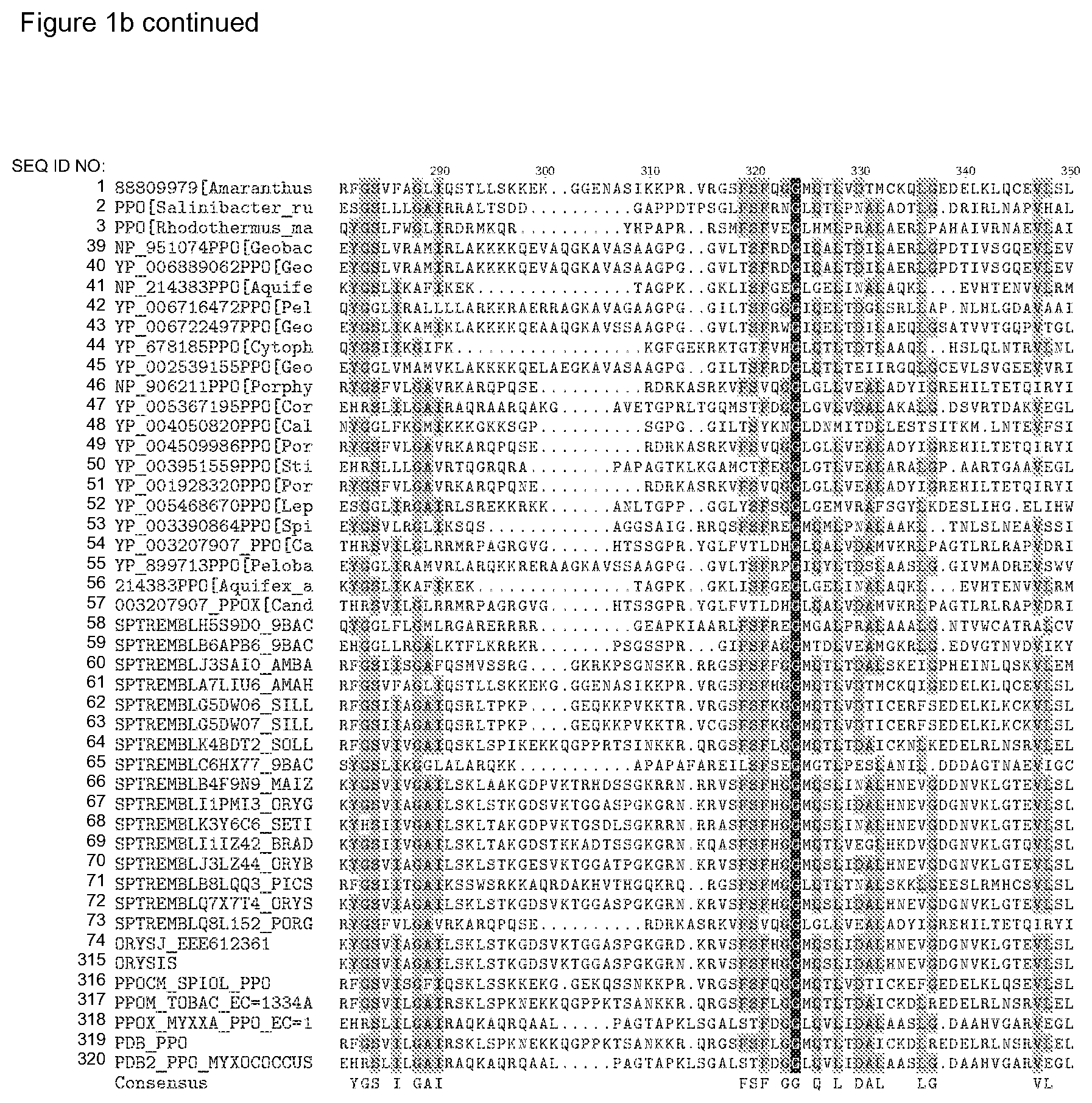 Patent US12338446 Figure 11 – Plants having increased tolerance to herbicides