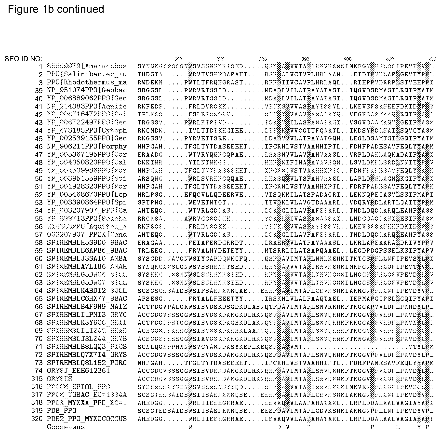 Patent US12338446 Figure 12 – Plants having increased tolerance to herbicides
