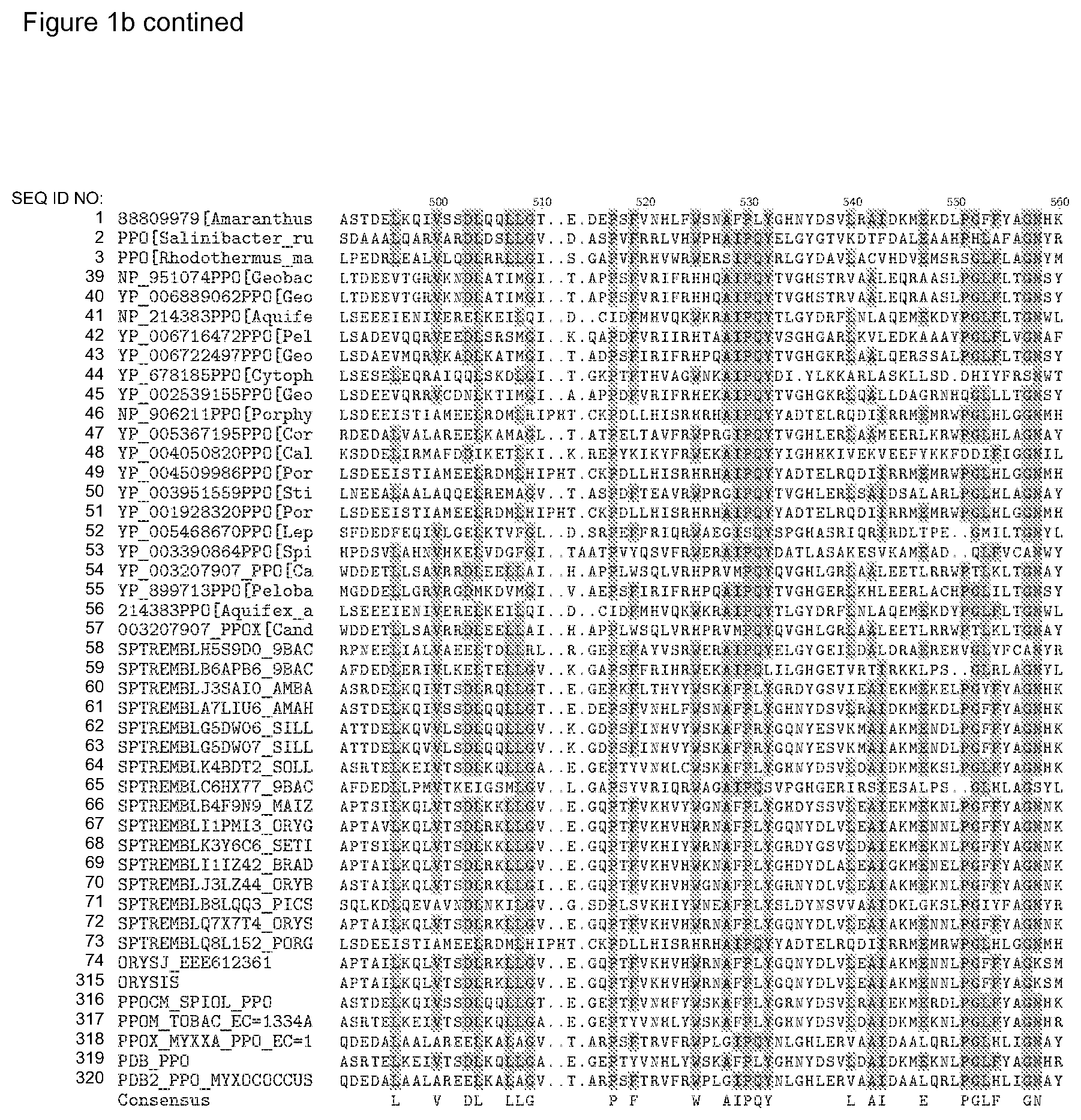 Patent US12338446 Figure 14 – Plants having increased tolerance to herbicides