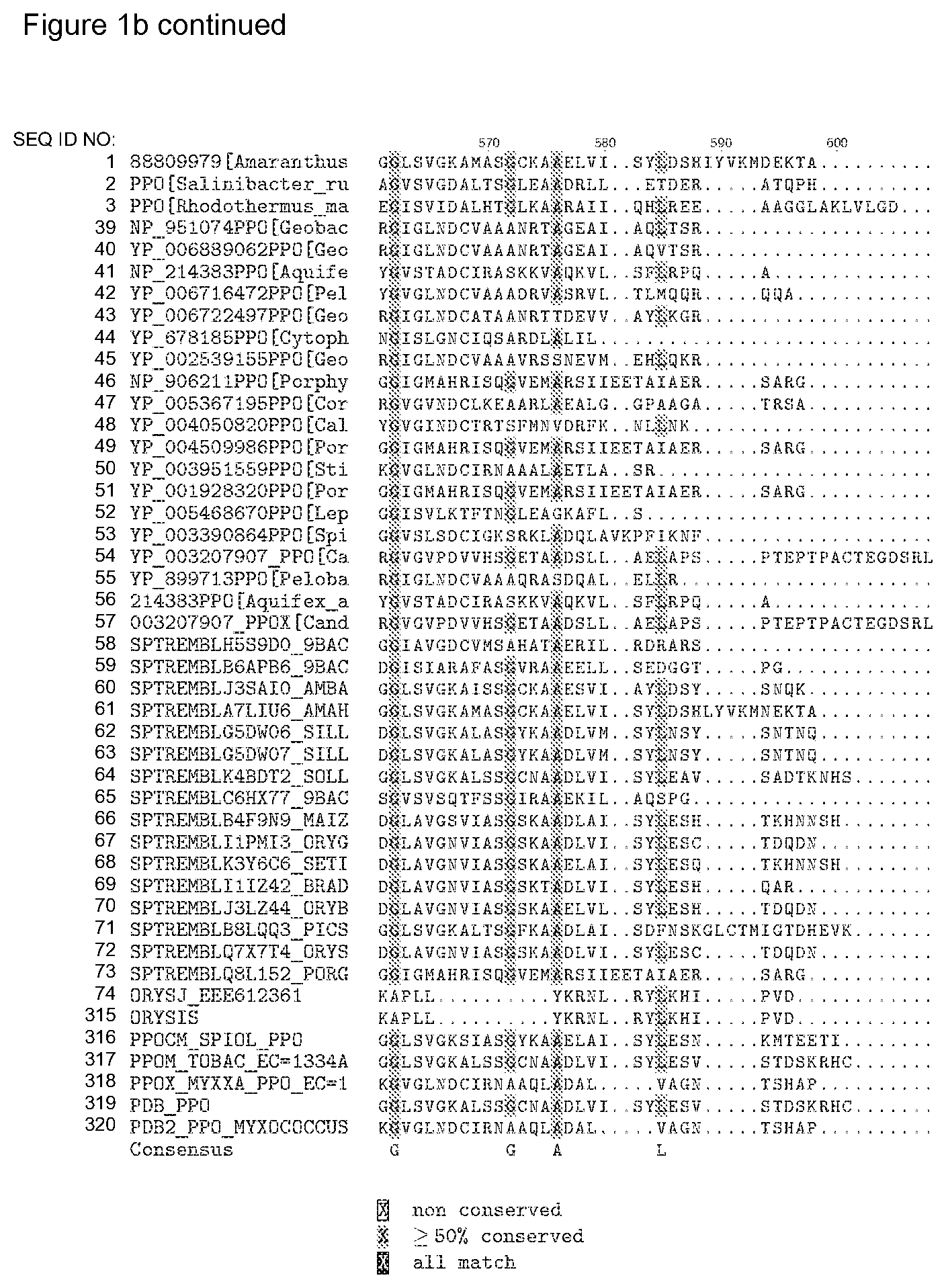 Patent US12338446 Figure 15 – Plants having increased tolerance to herbicides