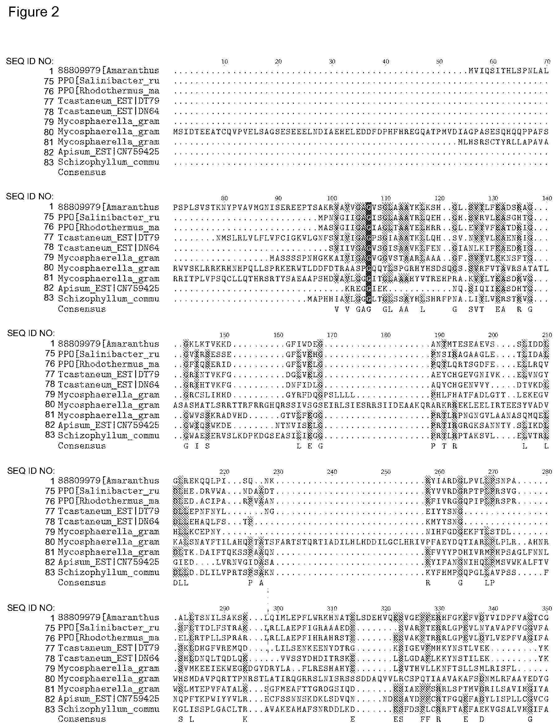 Patent US12338446 Figure 16 – Plants having increased tolerance to herbicides