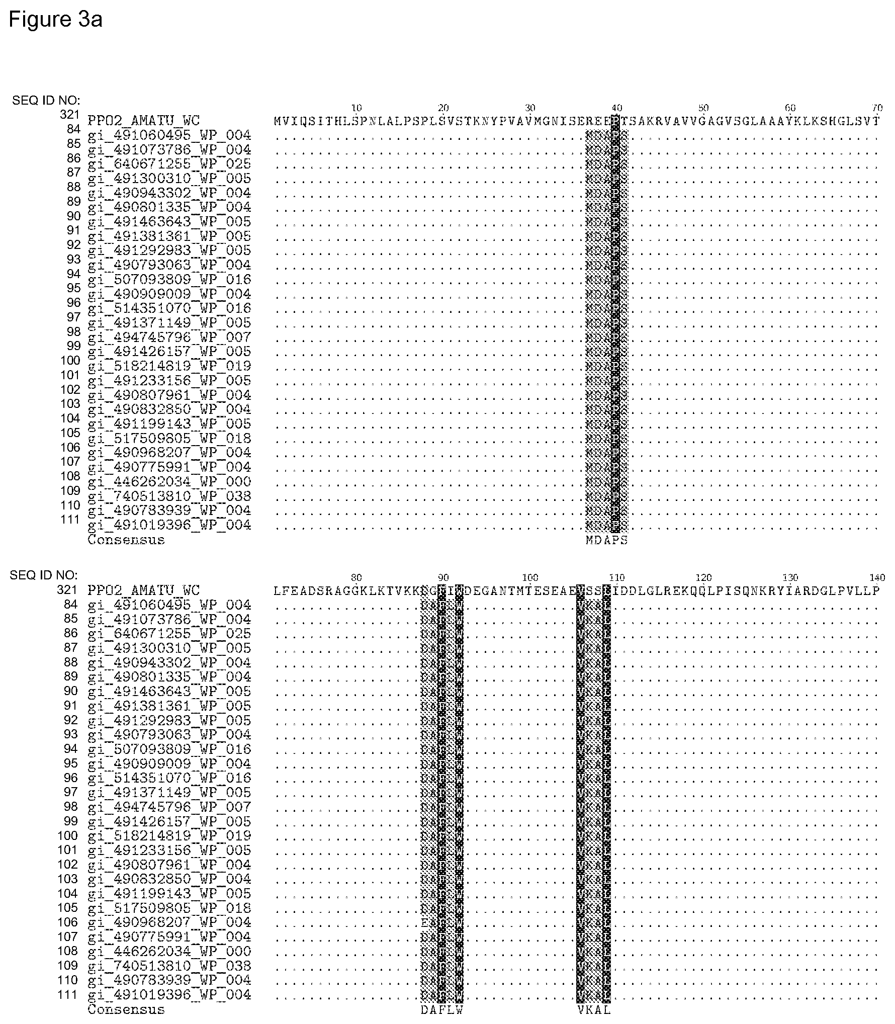 Patent US12338446 Figure 19 – Plants having increased tolerance to herbicides