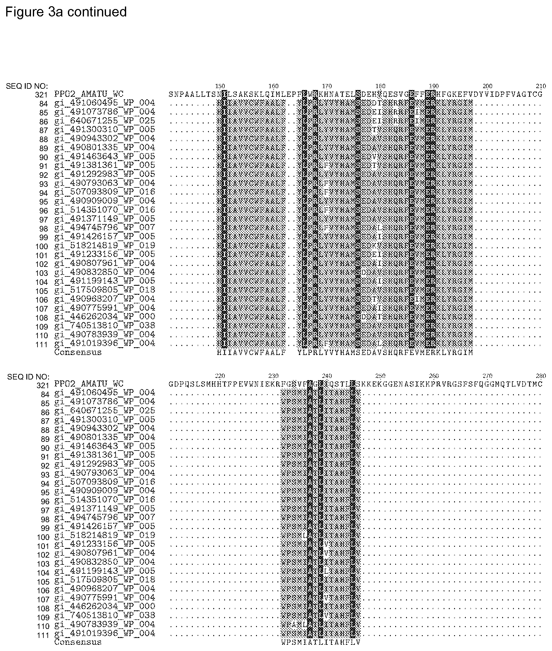Patent US12338446 Figure 20 – Plants having increased tolerance to herbicides