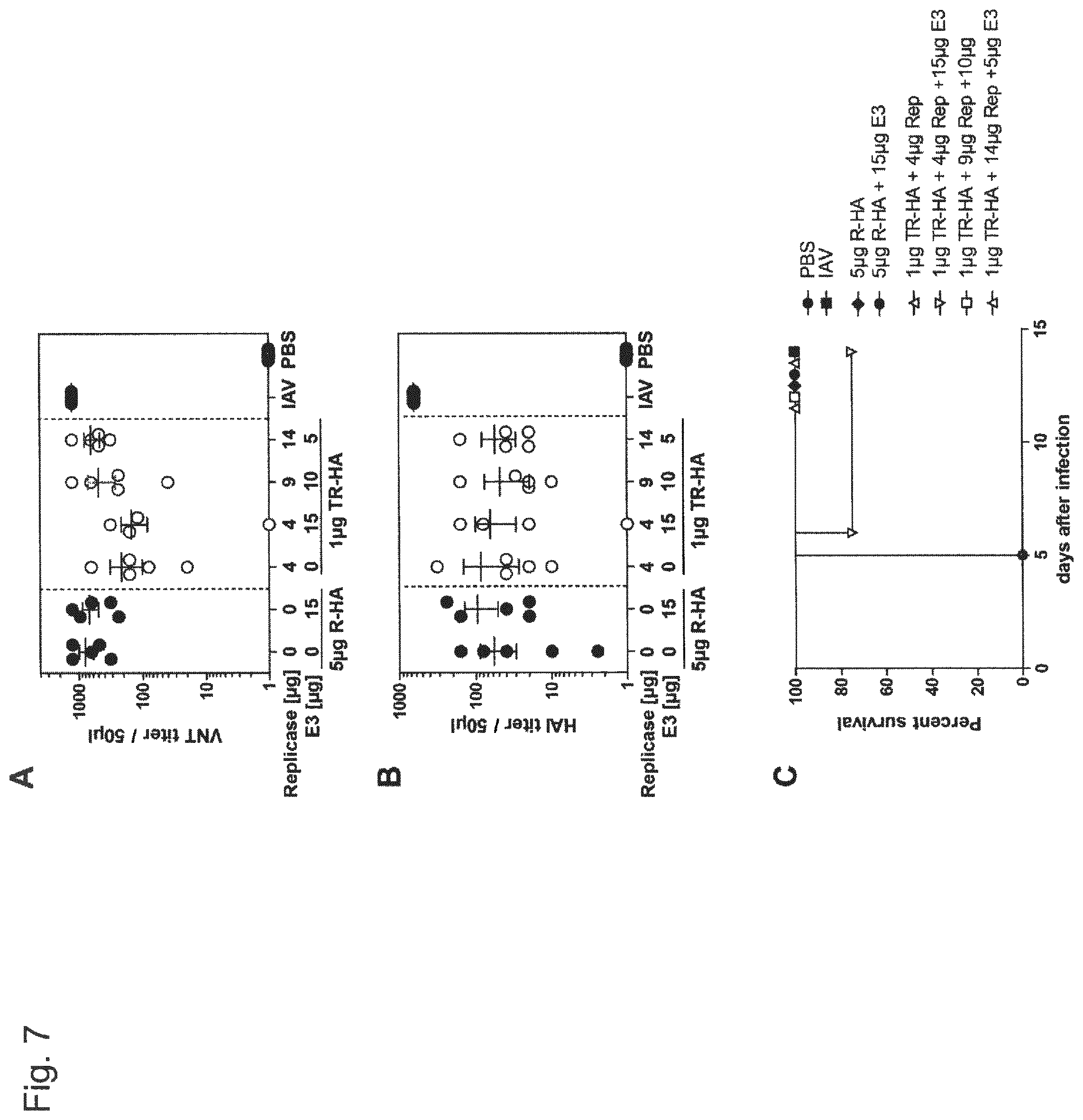 Patent US12338448 Figure 8 – Trans-replicating RNA