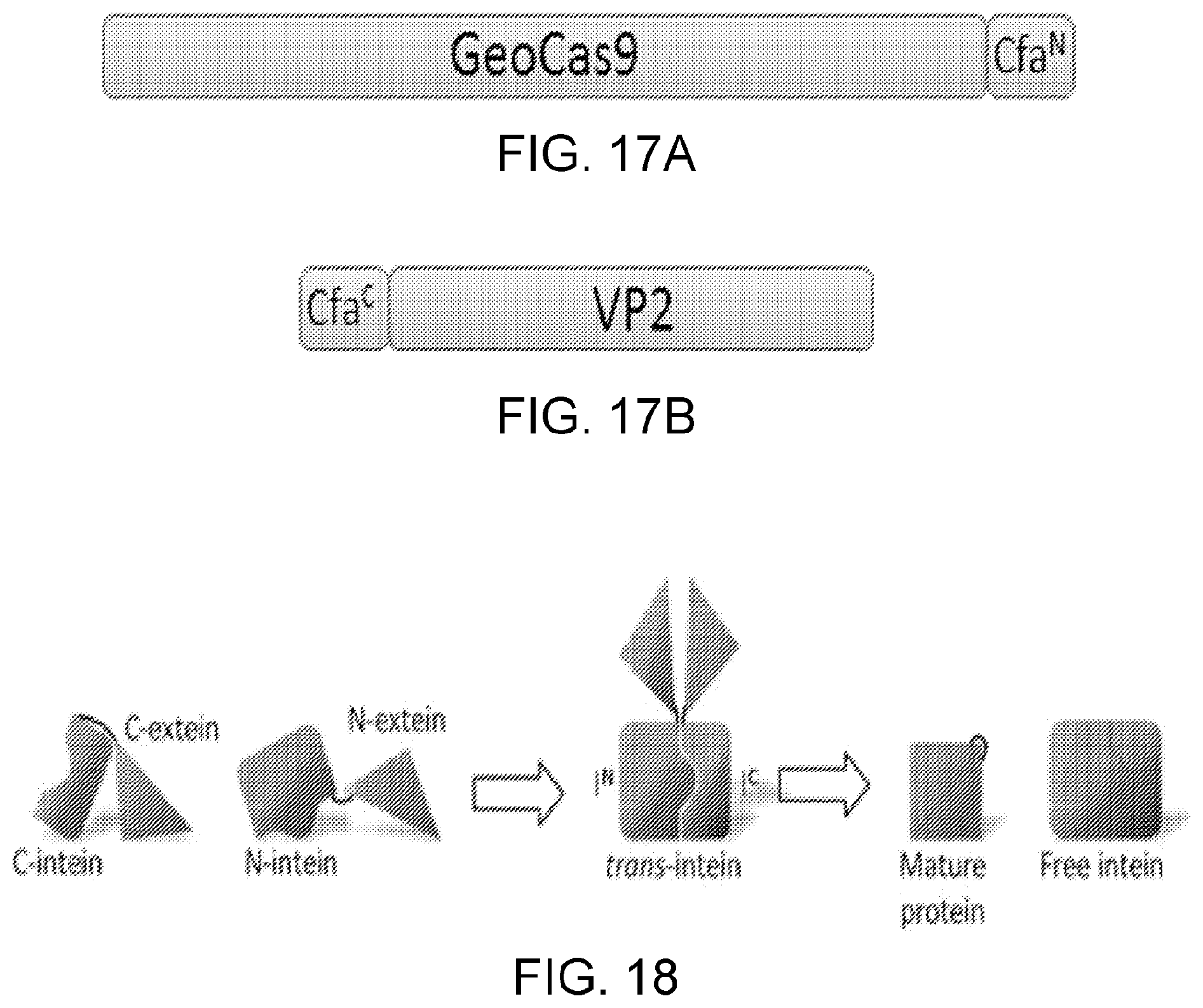 Patent US12338449 Figure 18 – Enhanced modified viral capsid proteins