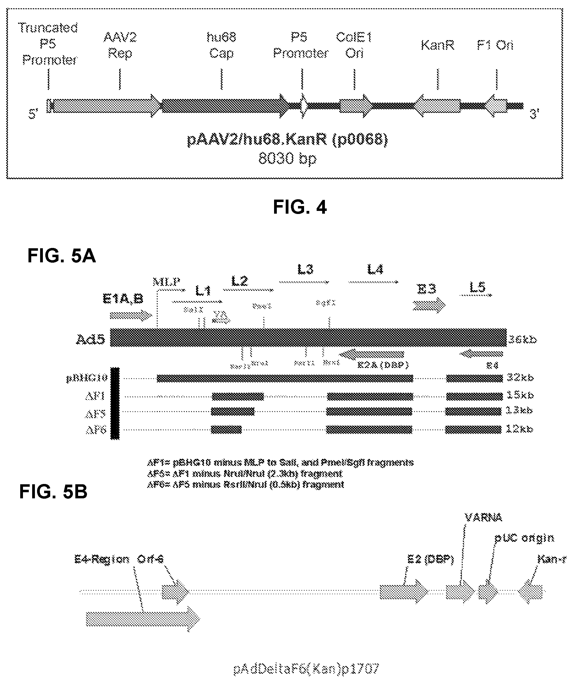 Patent US12338451 Figure 3 – Compositions useful in treatment of metachromatic leukodystrophy