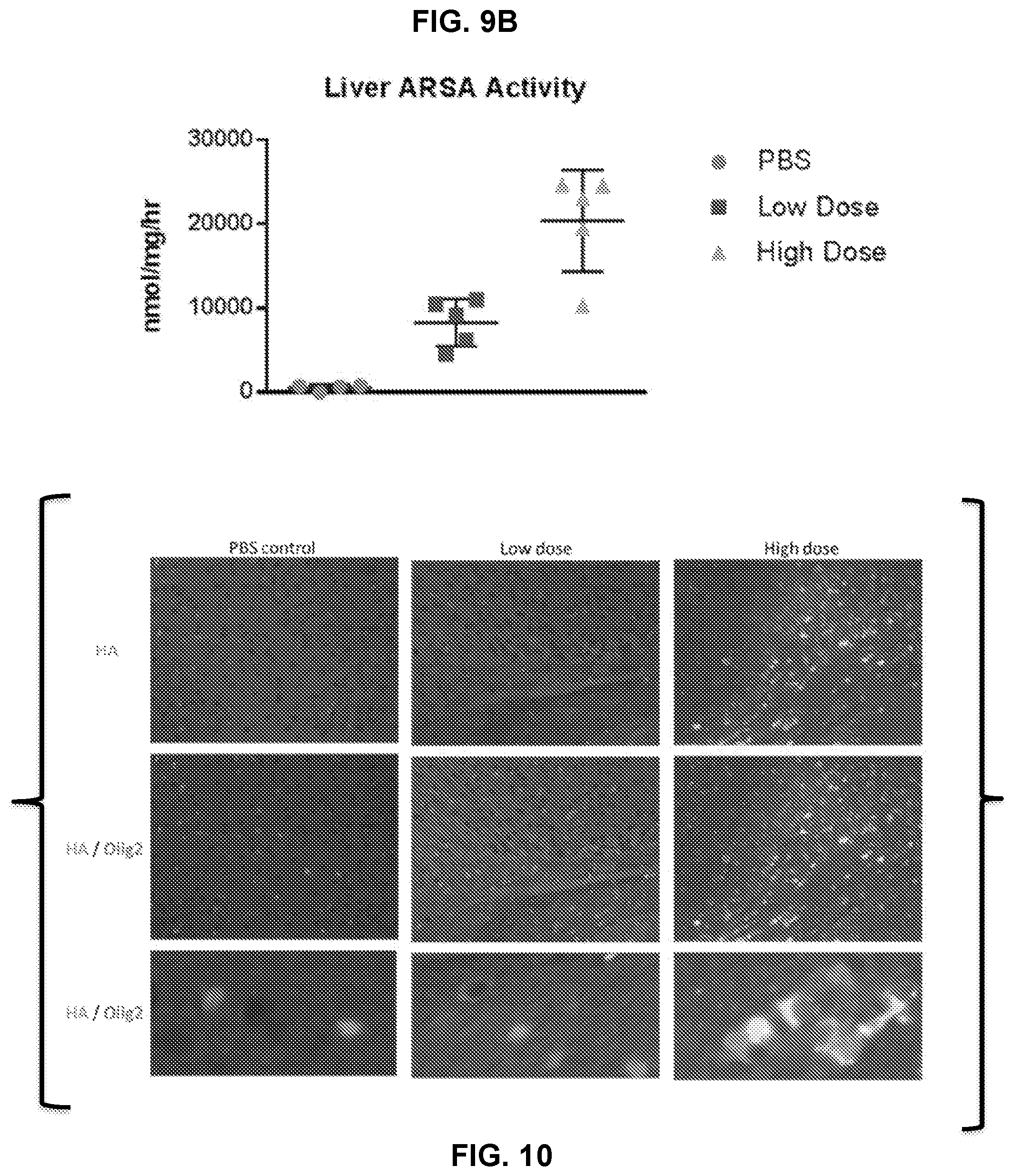 Patent US12338451 Figure 7 – Compositions useful in treatment of metachromatic leukodystrophy