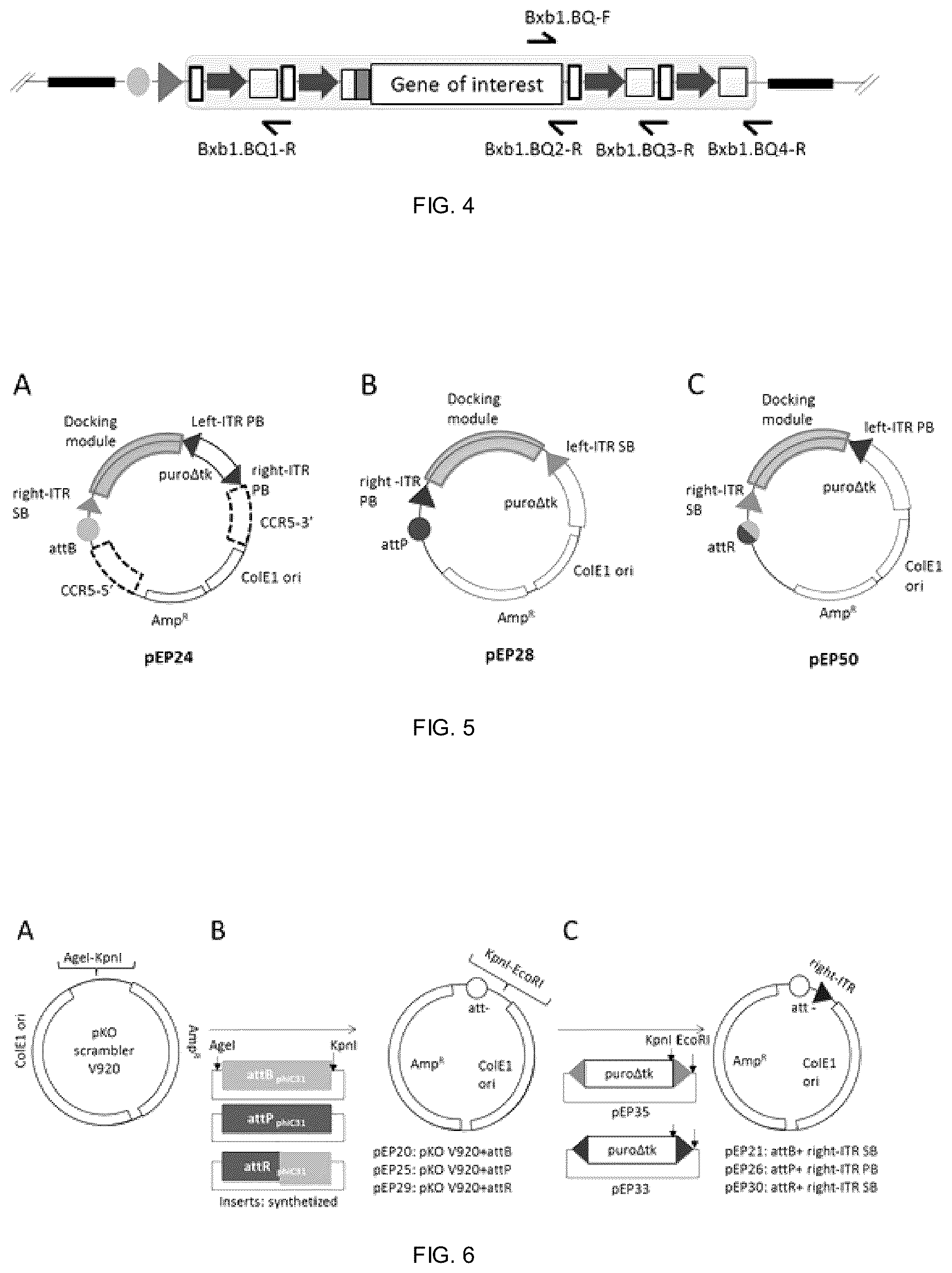 Patent US12338453 Figure 3 – Method for the introduction of genetic information in cell by site-specific integration system