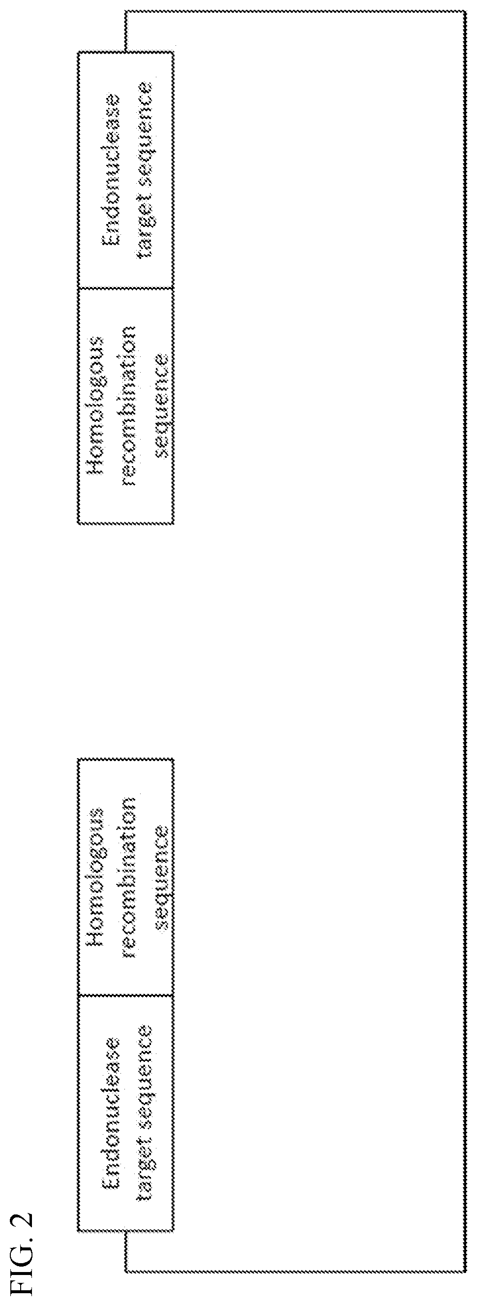 Patent US12338454 Figure 2 – Helper plasmid for transformation, method for producing transformant using the same, and transformation method