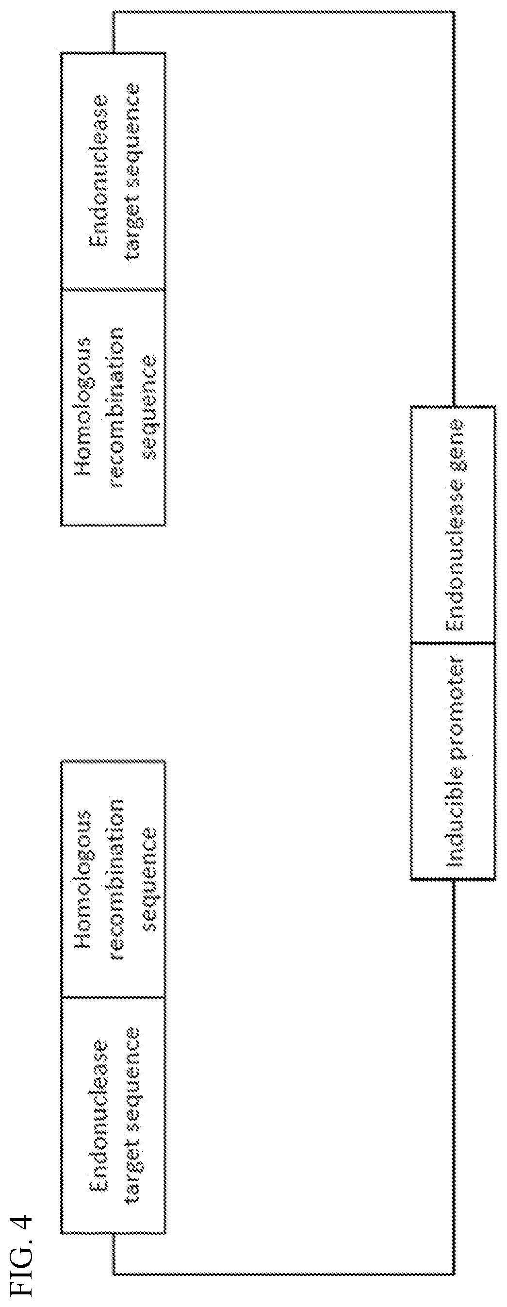 Patent US12338454 Figure 4 – Helper plasmid for transformation, method for producing transformant using the same, and transformation method