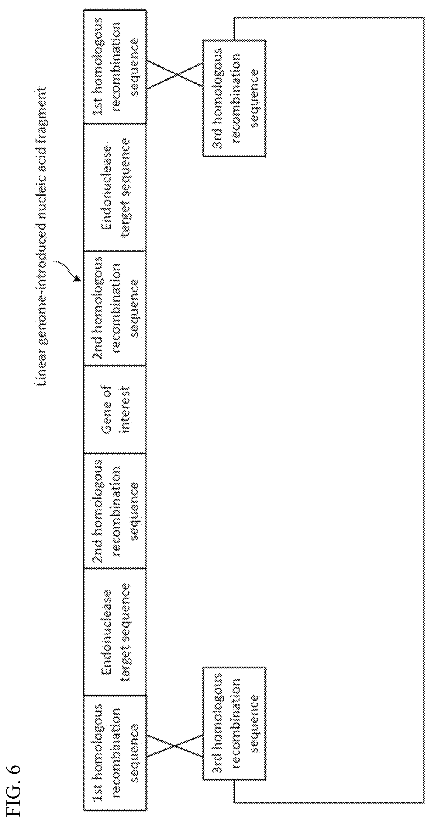 Patent US12338454 Figure 6 – Helper plasmid for transformation, method for producing transformant using the same, and transformation method