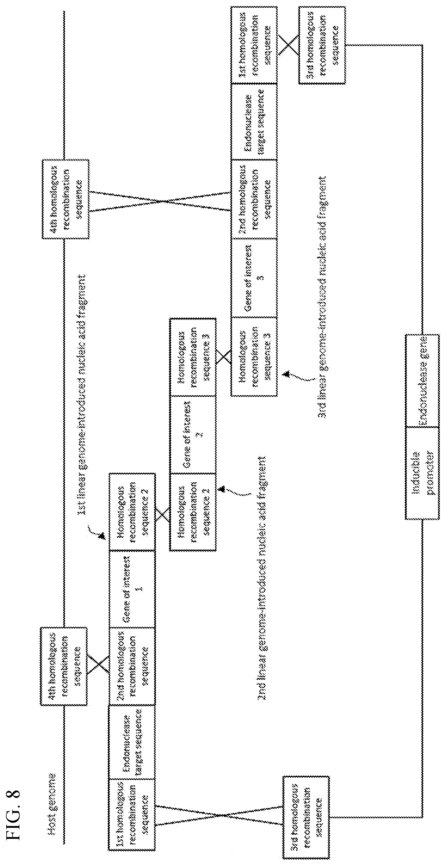 Patent US12338454 Figure 8 – Helper plasmid for transformation, method for producing transformant using the same, and transformation method