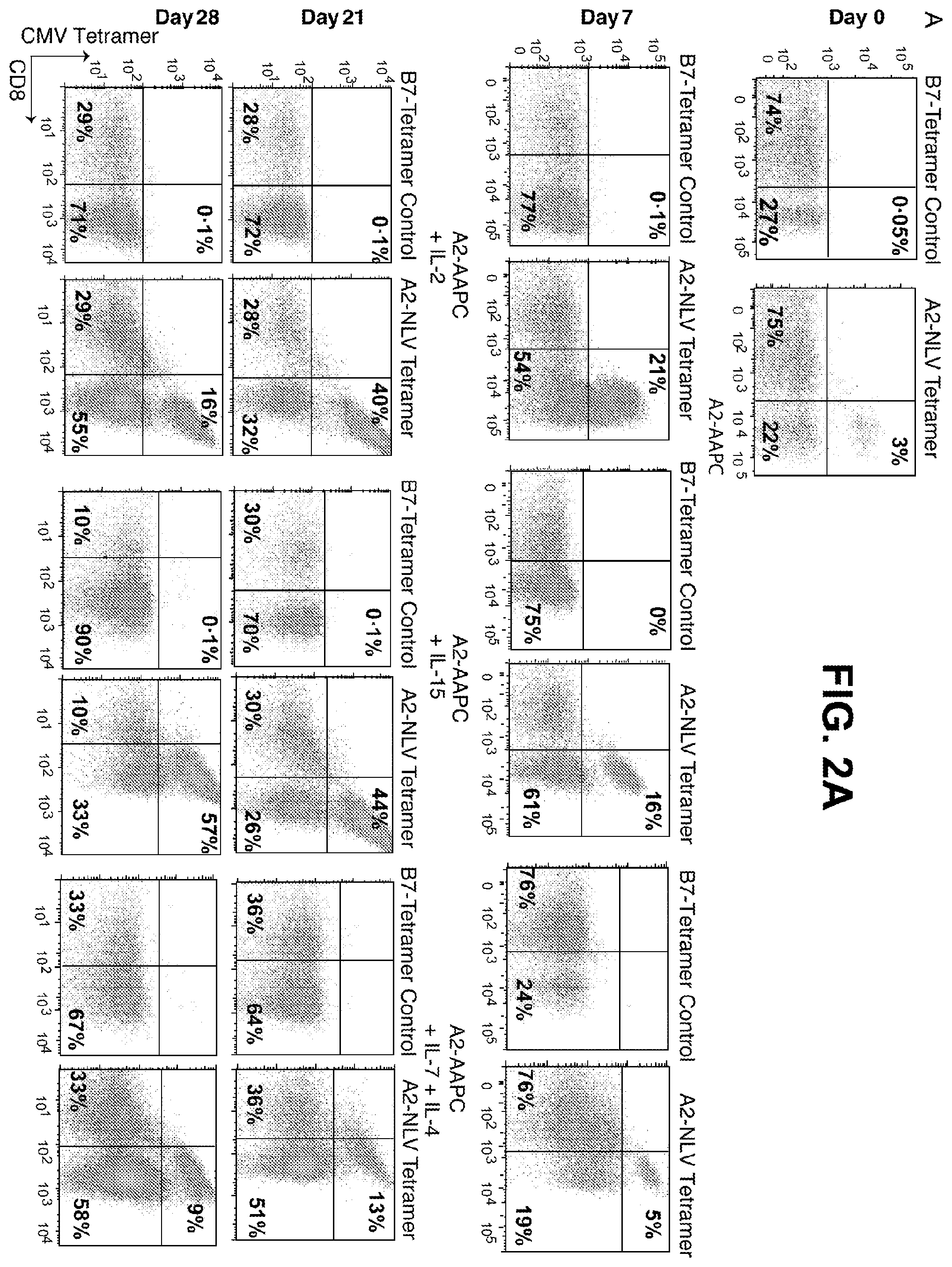 Patent US12338458 Figure 2 – Use of the IL-15/IL-15Rα complex in the generation of antigen-specific T cells for adoptive immunotherapy