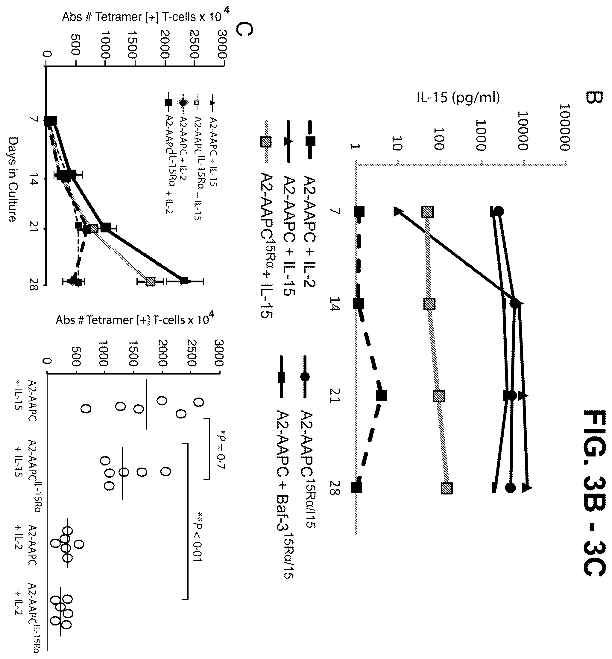 Patent US12338458 Figure 5 – Use of the IL-15/IL-15Rα complex in the generation of antigen-specific T cells for adoptive immunotherapy