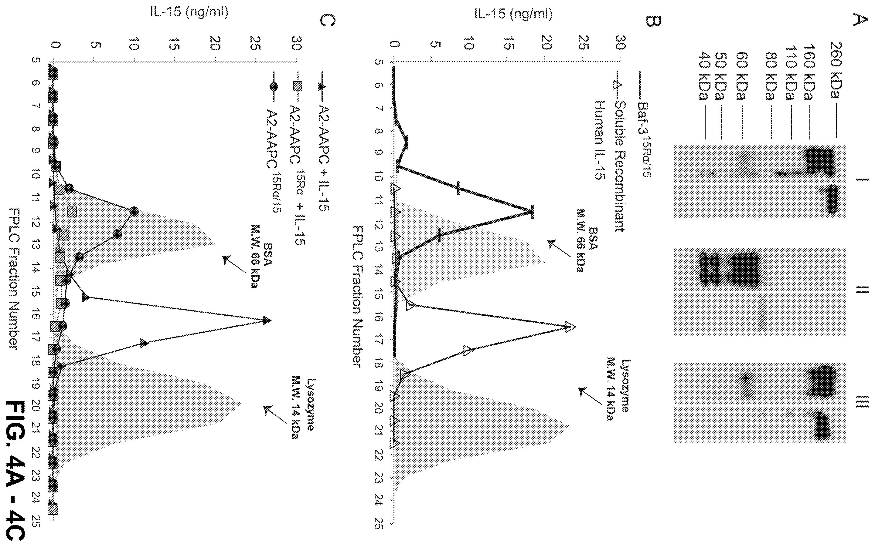 Patent US12338458 Figure 6 – Use of the IL-15/IL-15Rα complex in the generation of antigen-specific T cells for adoptive immunotherapy