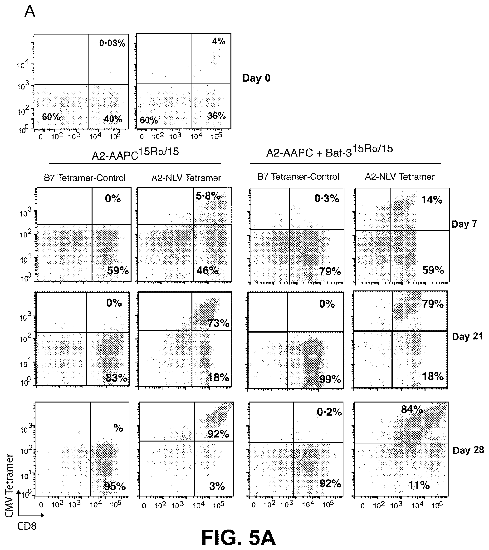 Patent US12338458 Figure 7 – Use of the IL-15/IL-15Rα complex in the generation of antigen-specific T cells for adoptive immunotherapy