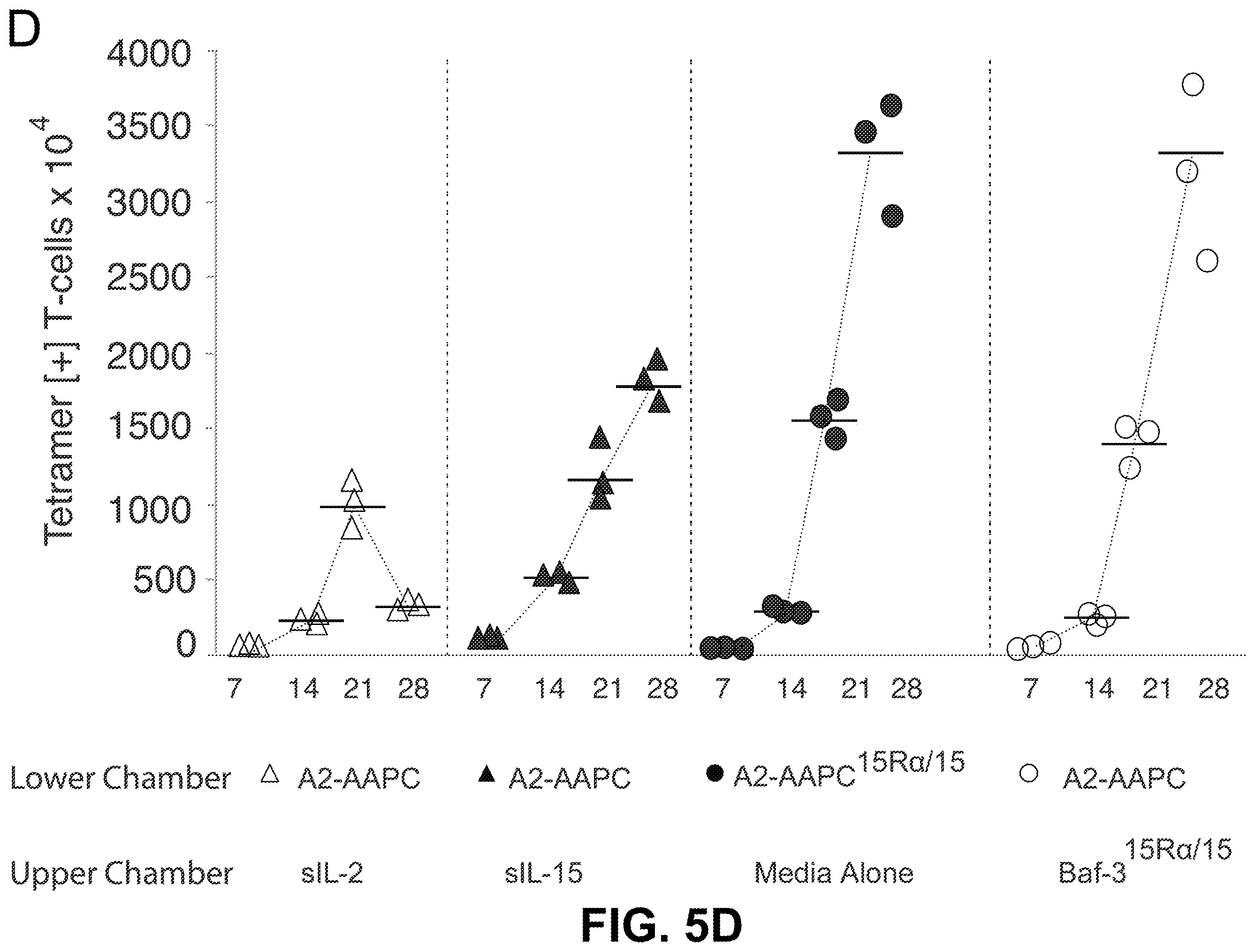 Patent US12338458 Figure 10 – Use of the IL-15/IL-15Rα complex in the generation of antigen-specific T cells for adoptive immunotherapy