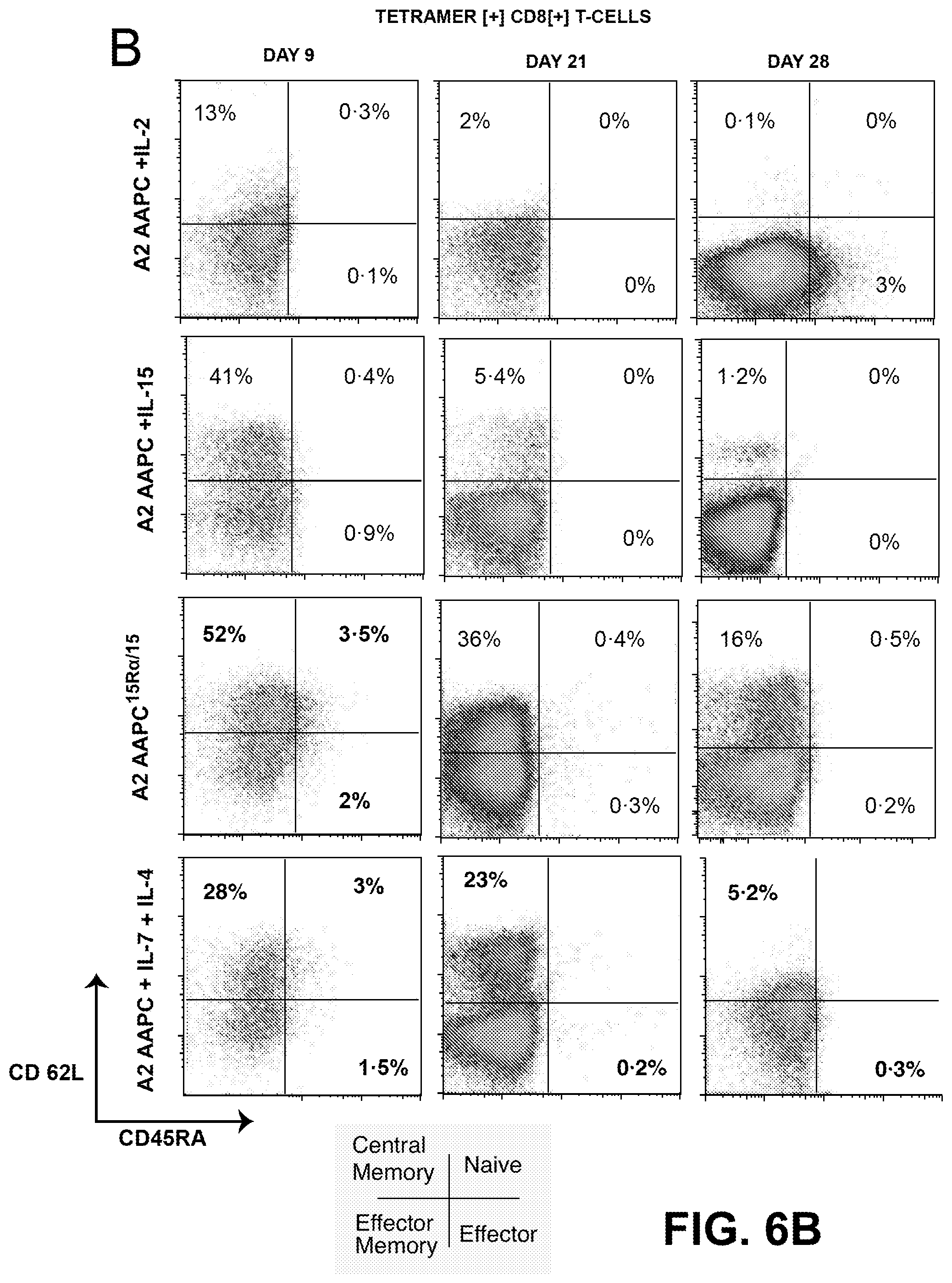 Patent US12338458 Figure 12 – Use of the IL-15/IL-15Rα complex in the generation of antigen-specific T cells for adoptive immunotherapy