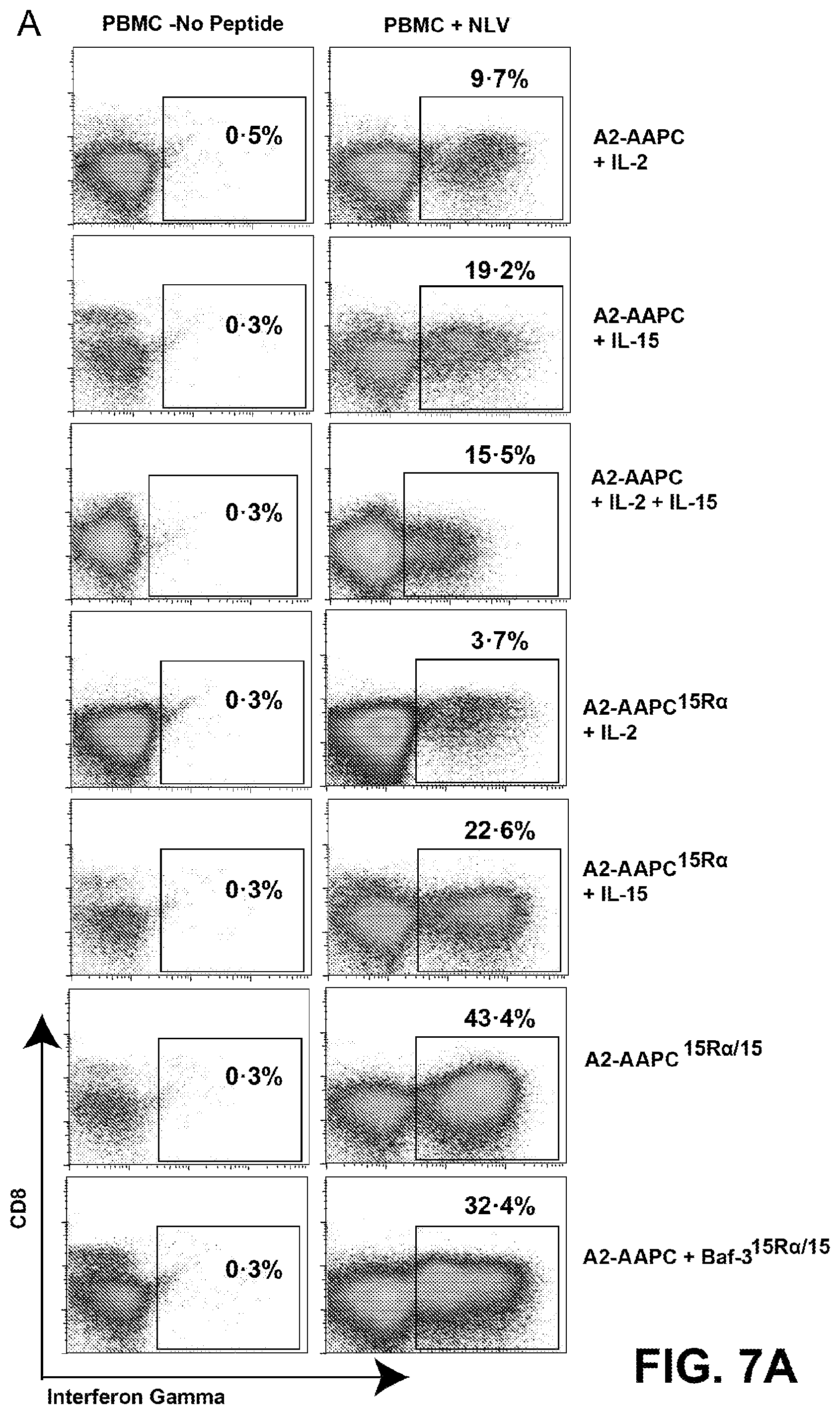 Patent US12338458 Figure 13 – Use of the IL-15/IL-15Rα complex in the generation of antigen-specific T cells for adoptive immunotherapy