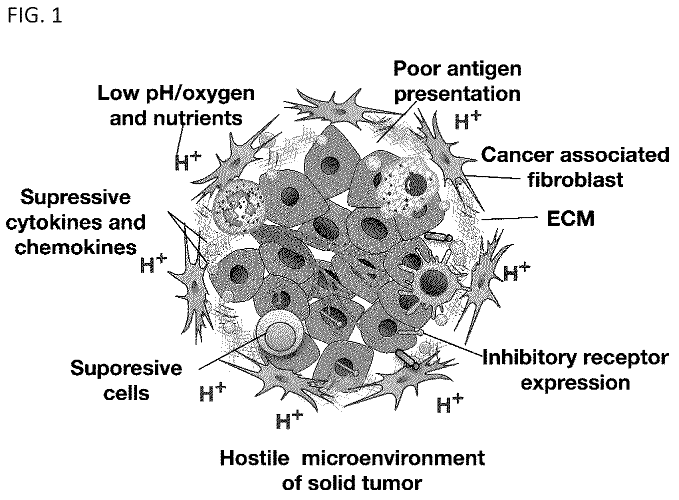 Patent US12338459 Figure 1 – DNA-chimeric antigen receptor T cells for immunotherapy