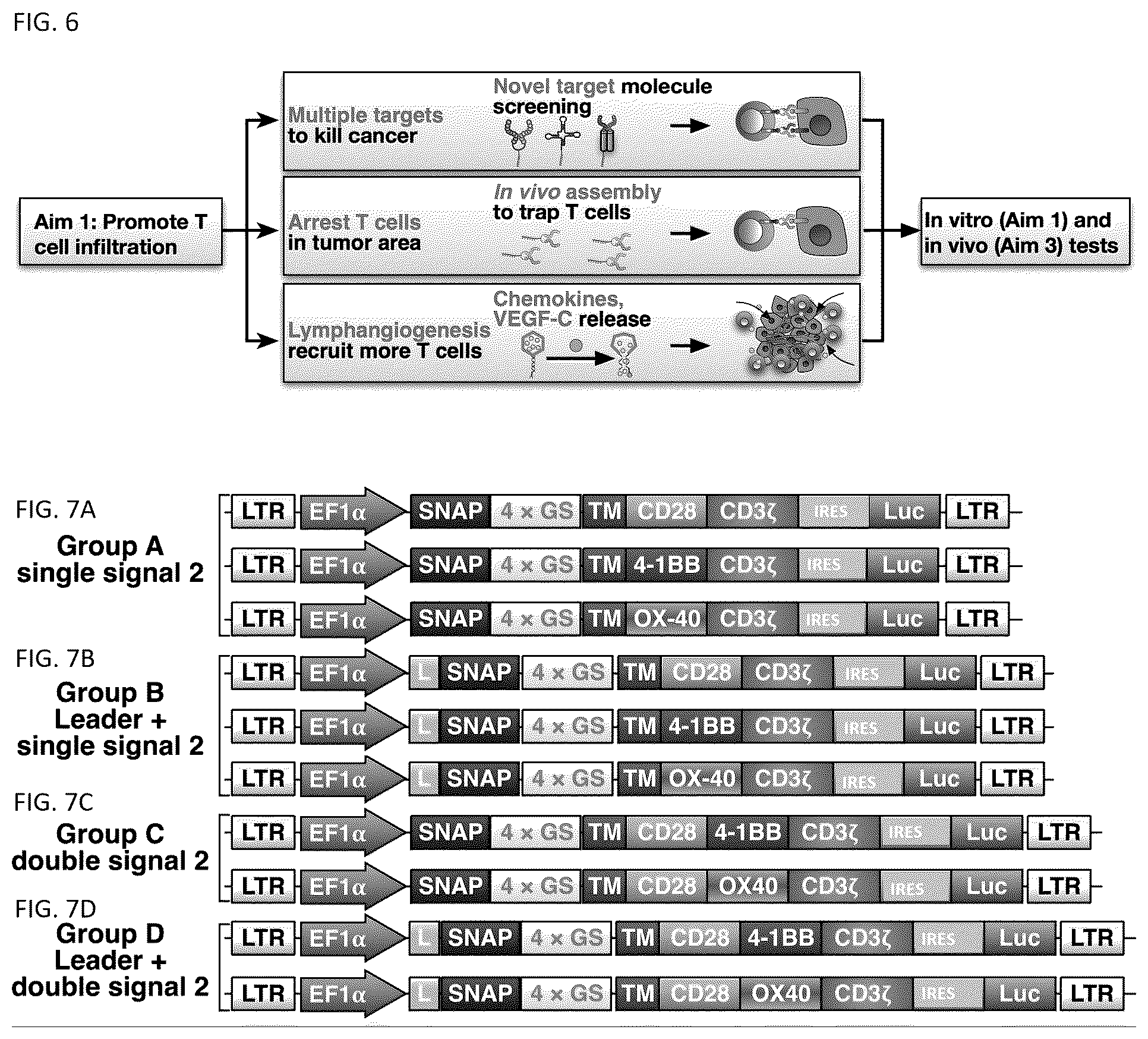Patent US12338459 Figure 5 – DNA-chimeric antigen receptor T cells for immunotherapy