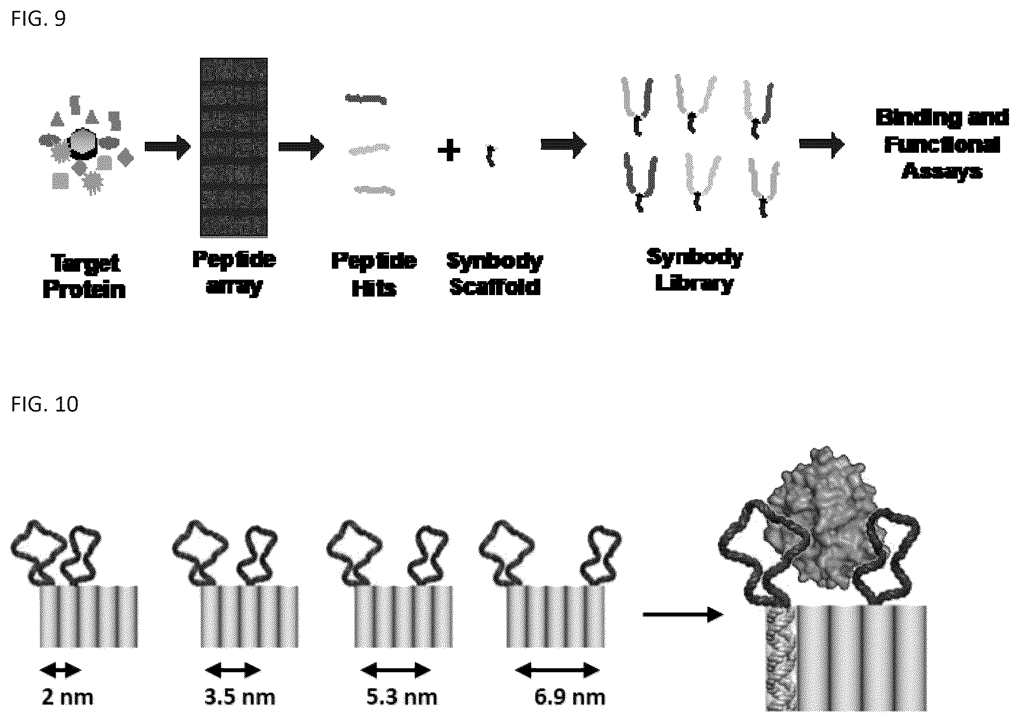 Patent US12338459 Figure 7 – DNA-chimeric antigen receptor T cells for immunotherapy