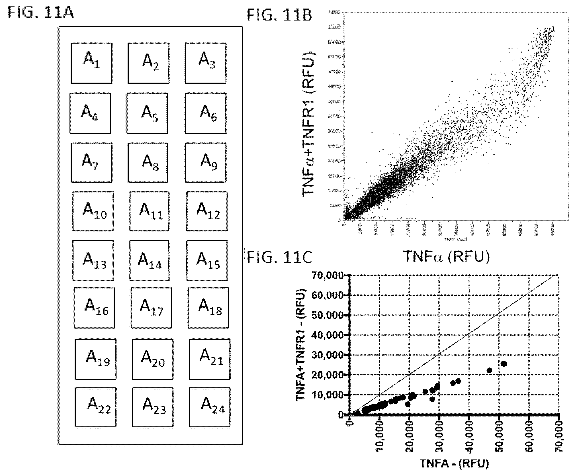 Patent US12338459 Figure 8 – DNA-chimeric antigen receptor T cells for immunotherapy