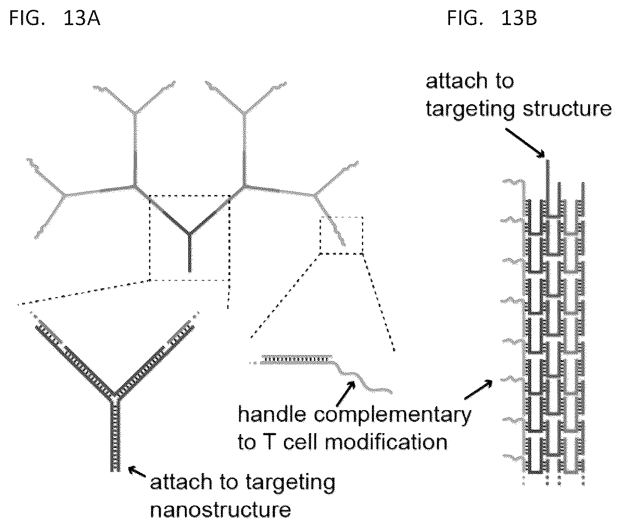 Patent US12338459 Figure 10 – DNA-chimeric antigen receptor T cells for immunotherapy