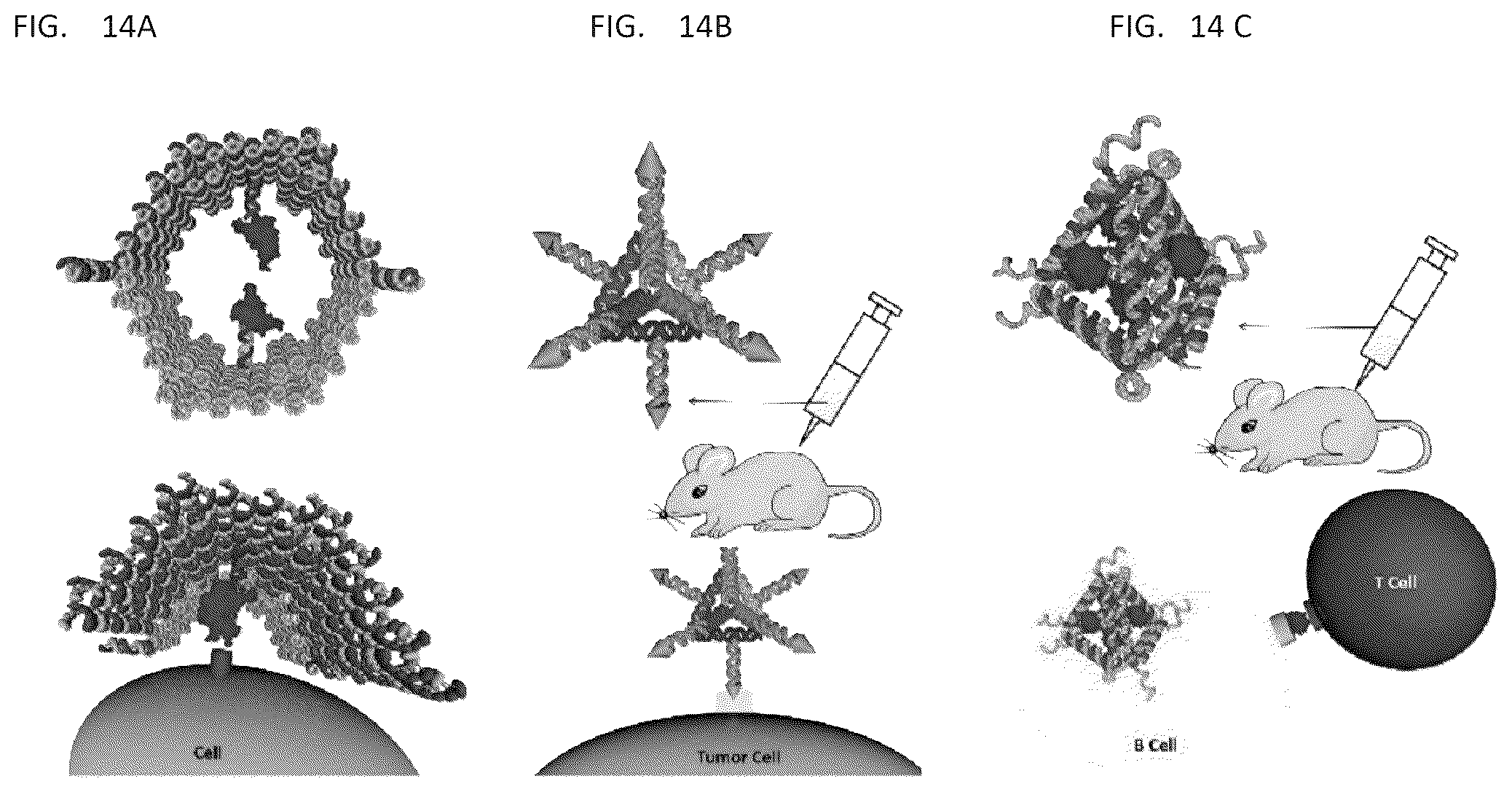 Patent US12338459 Figure 11 – DNA-chimeric antigen receptor T cells for immunotherapy
