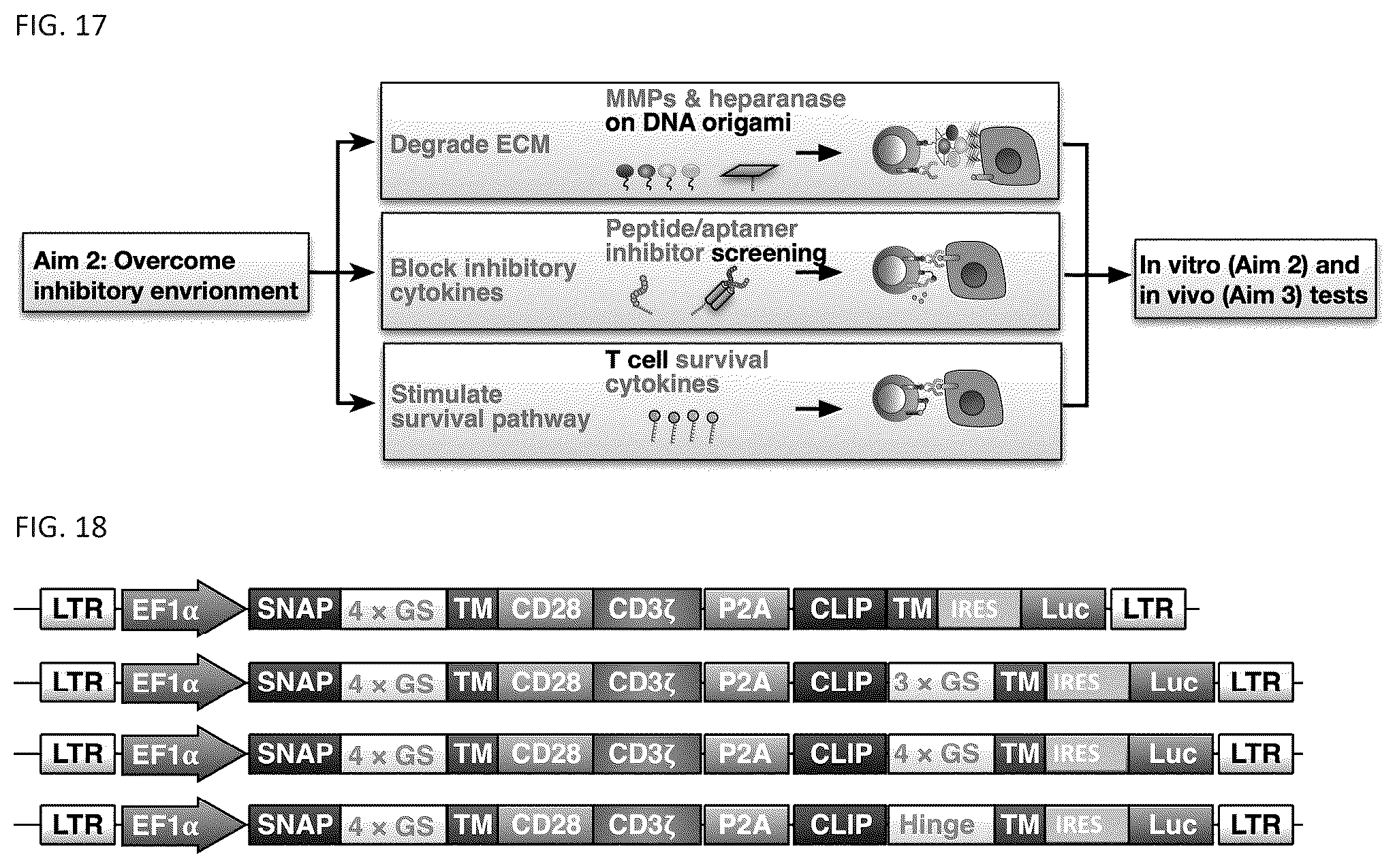 Patent US12338459 Figure 14 – DNA-chimeric antigen receptor T cells for immunotherapy