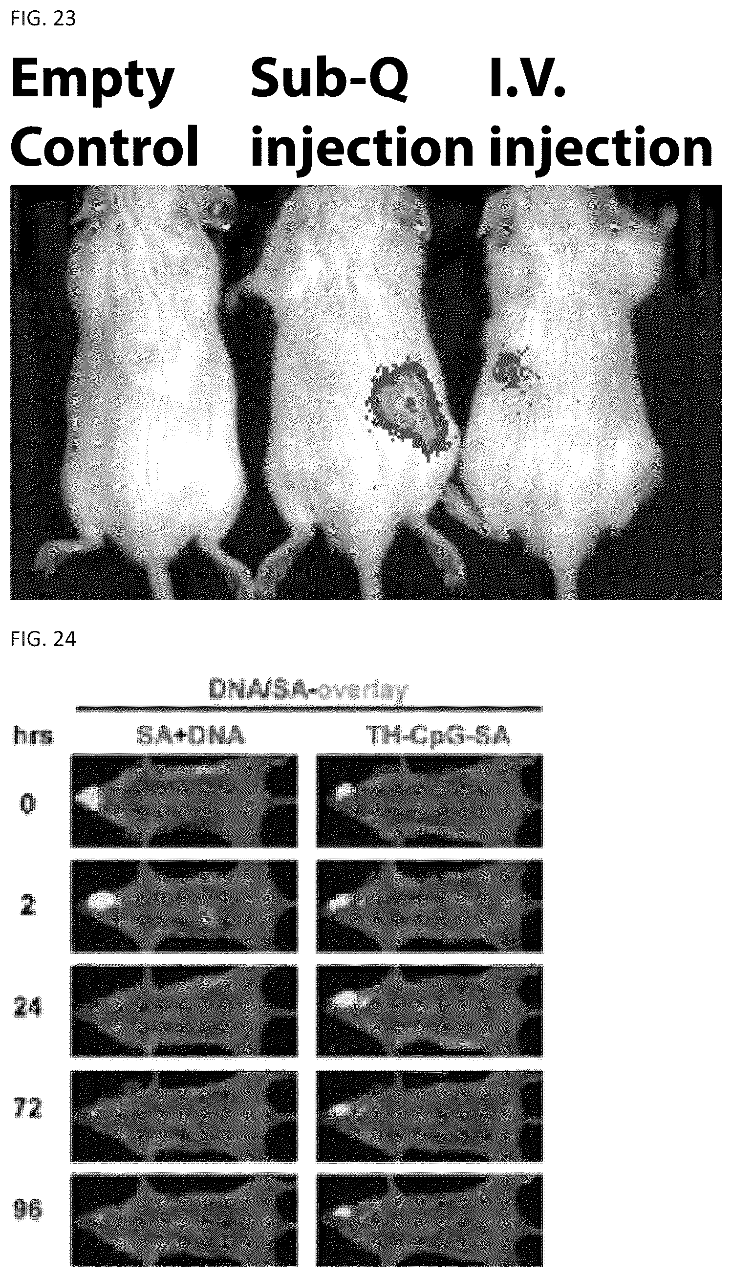 Patent US12338459 Figure 19 – DNA-chimeric antigen receptor T cells for immunotherapy