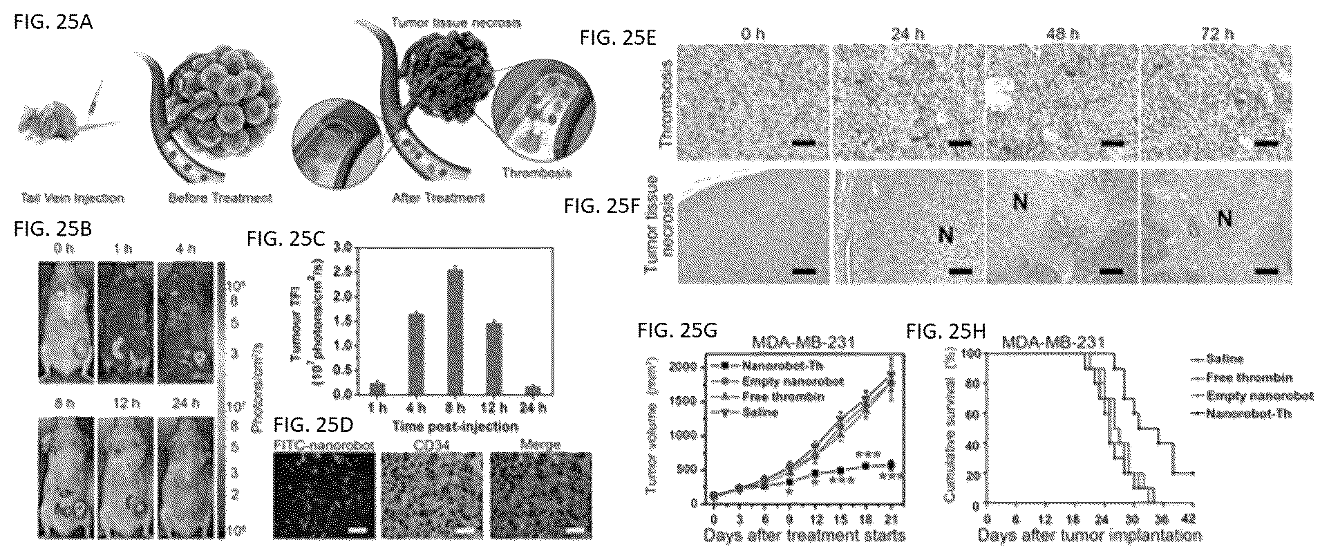 Patent US12338459 Figure 20 – DNA-chimeric antigen receptor T cells for immunotherapy