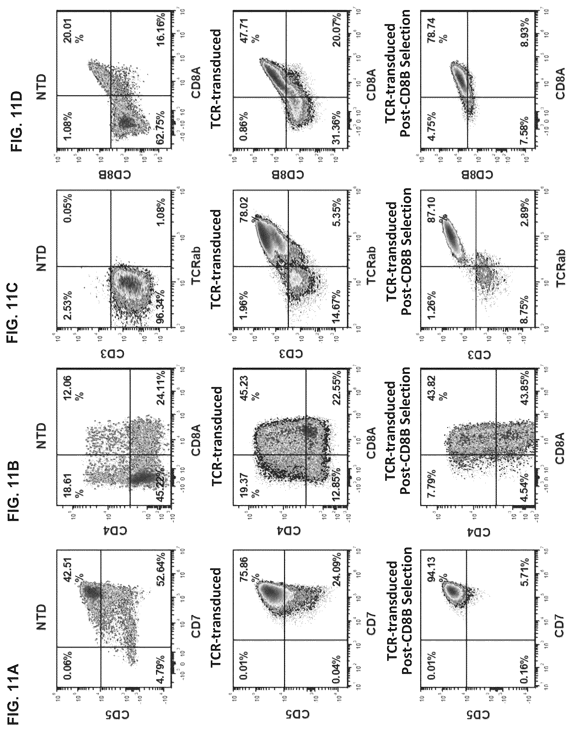 Patent US12338460 Figure 11 – Method for generating T cell lineage populations from stem/progenitor cells