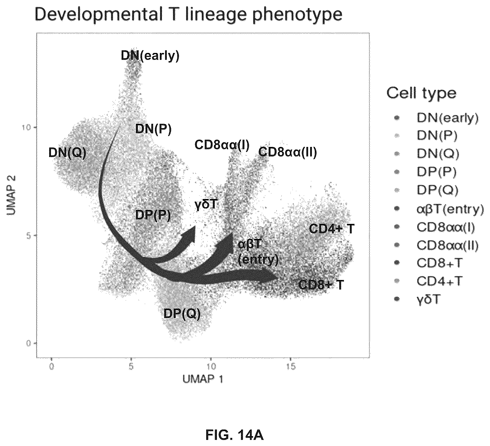 Patent US12338460 Figure 18 – Method for generating T cell lineage populations from stem/progenitor cells