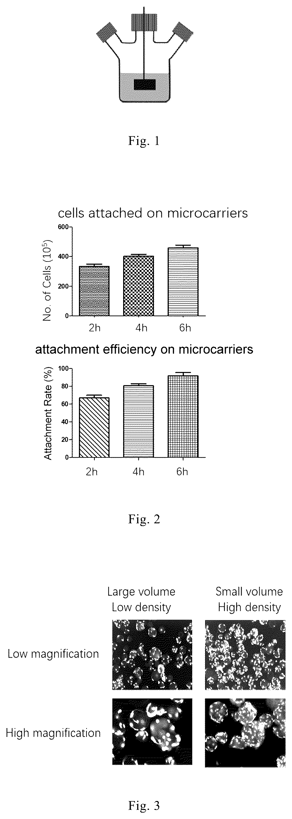 Patent US12338461 — Three-dimensional culture method for large-scale preparation of stem cells — Figure 1
