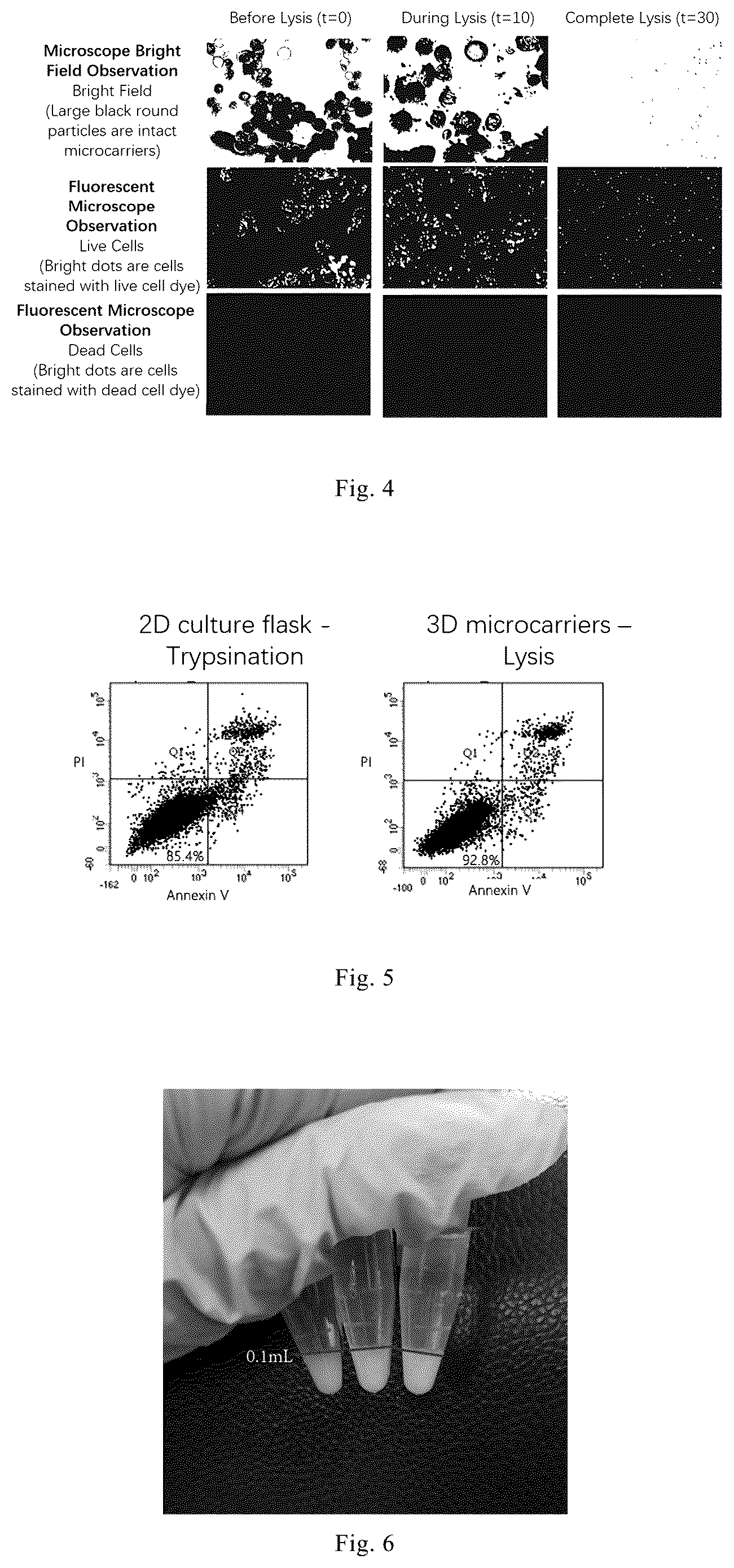 Patent US12338461 Figure 2 – Three-dimensional culture method for large-scale preparation of stem cells