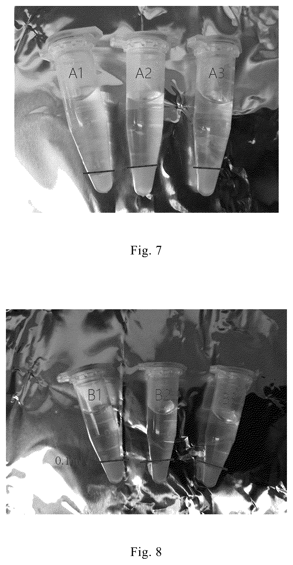 Patent US12338461 Figure 3 – Three-dimensional culture method for large-scale preparation of stem cells