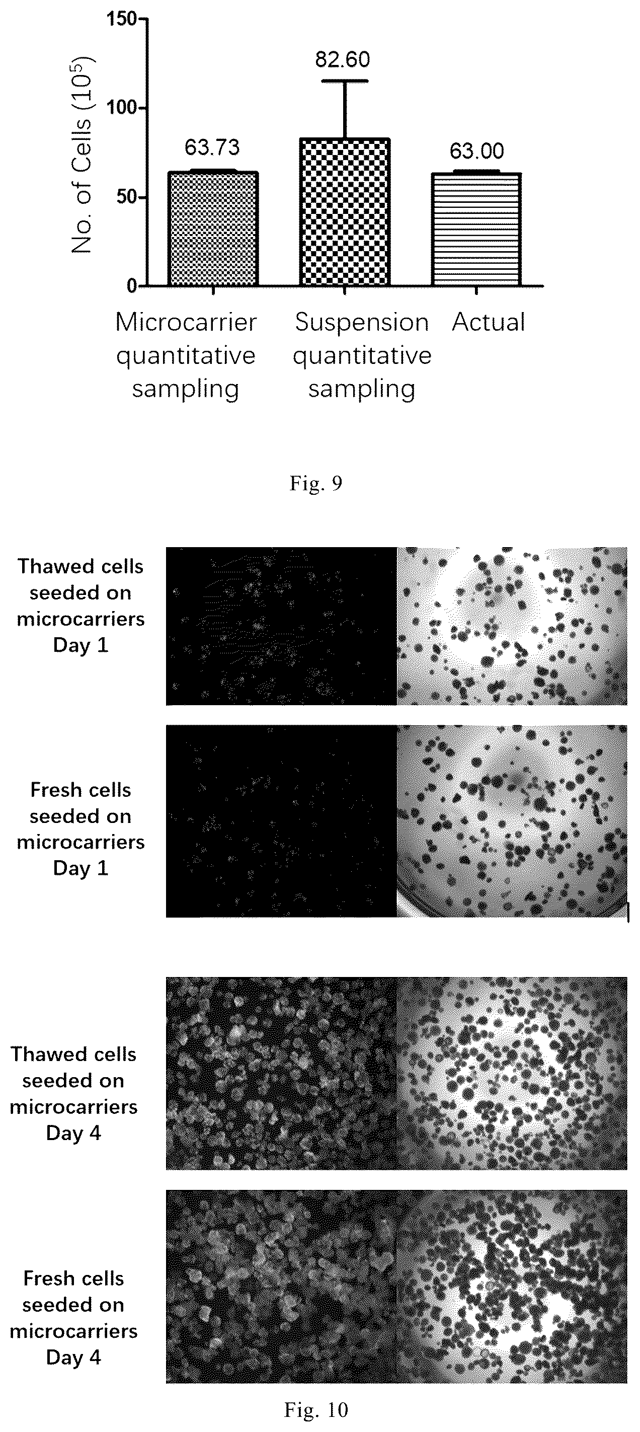 Patent US12338461 Figure 4 – Three-dimensional culture method for large-scale preparation of stem cells