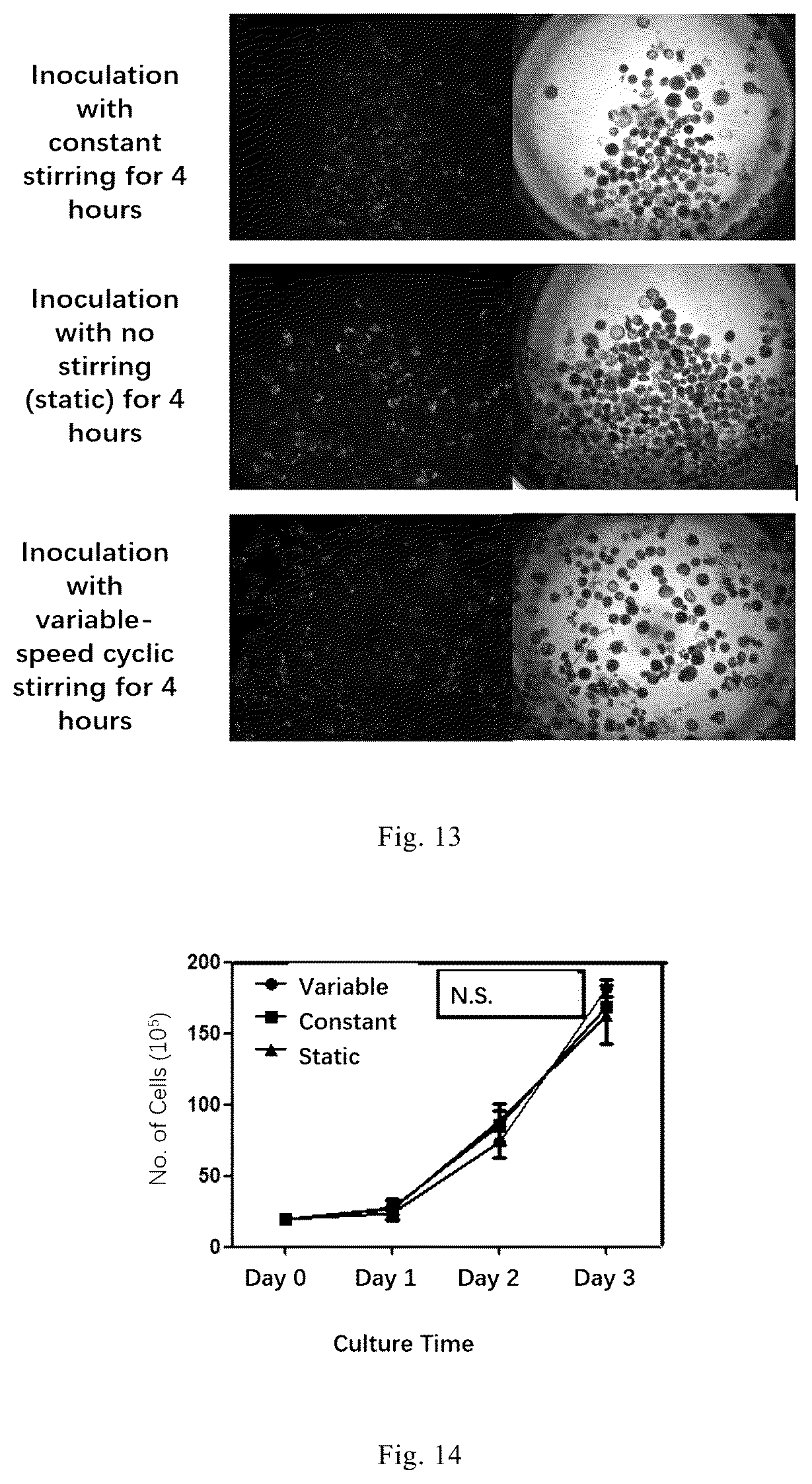 Patent US12338461 Figure 6 – Three-dimensional culture method for large-scale preparation of stem cells